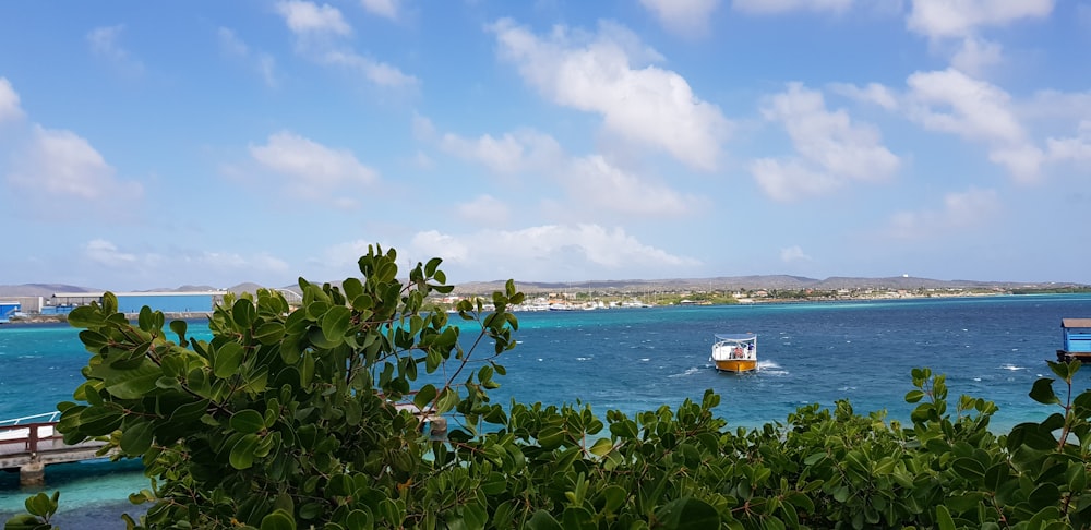 white and red boat on sea during daytime