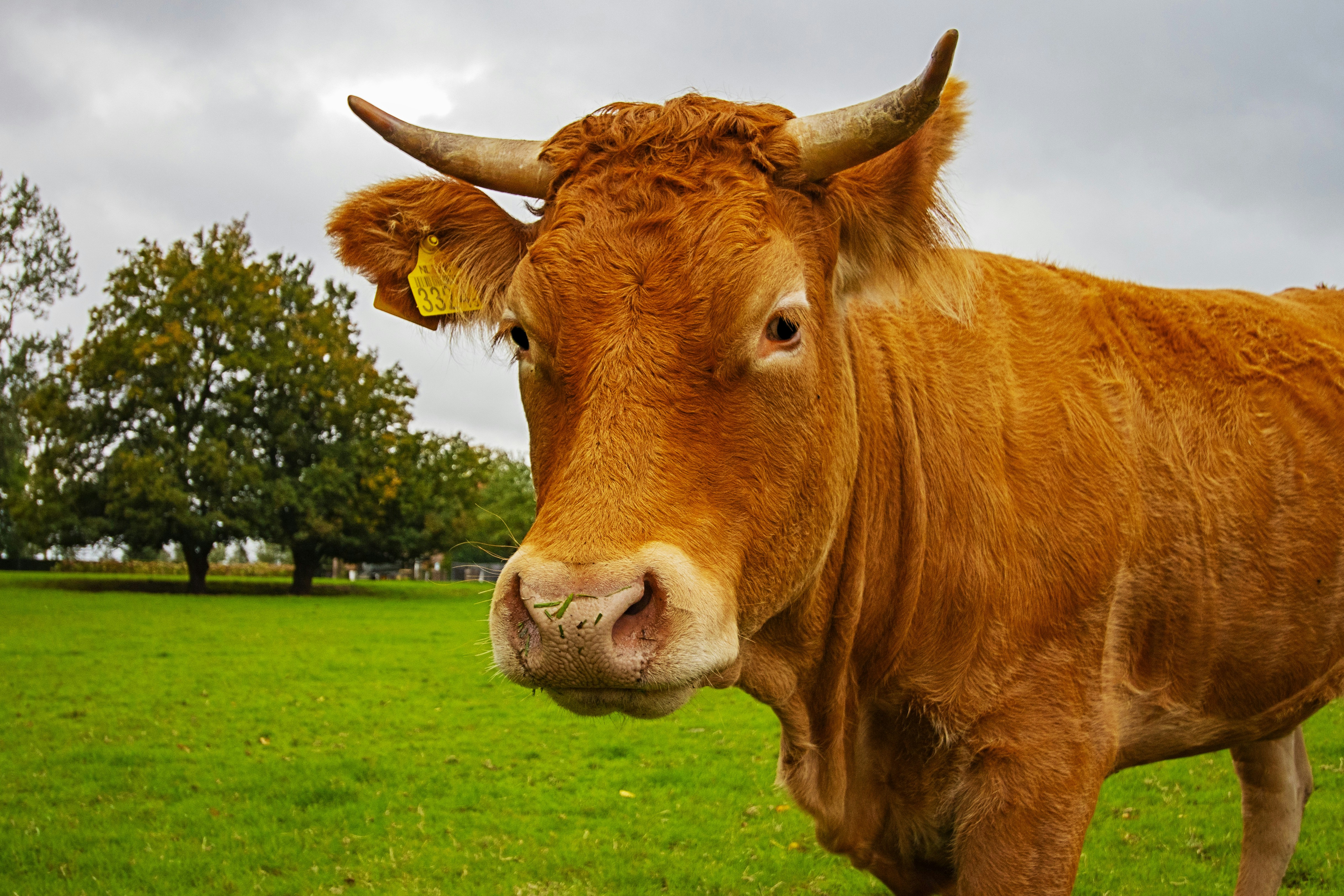 Photo by supardisign