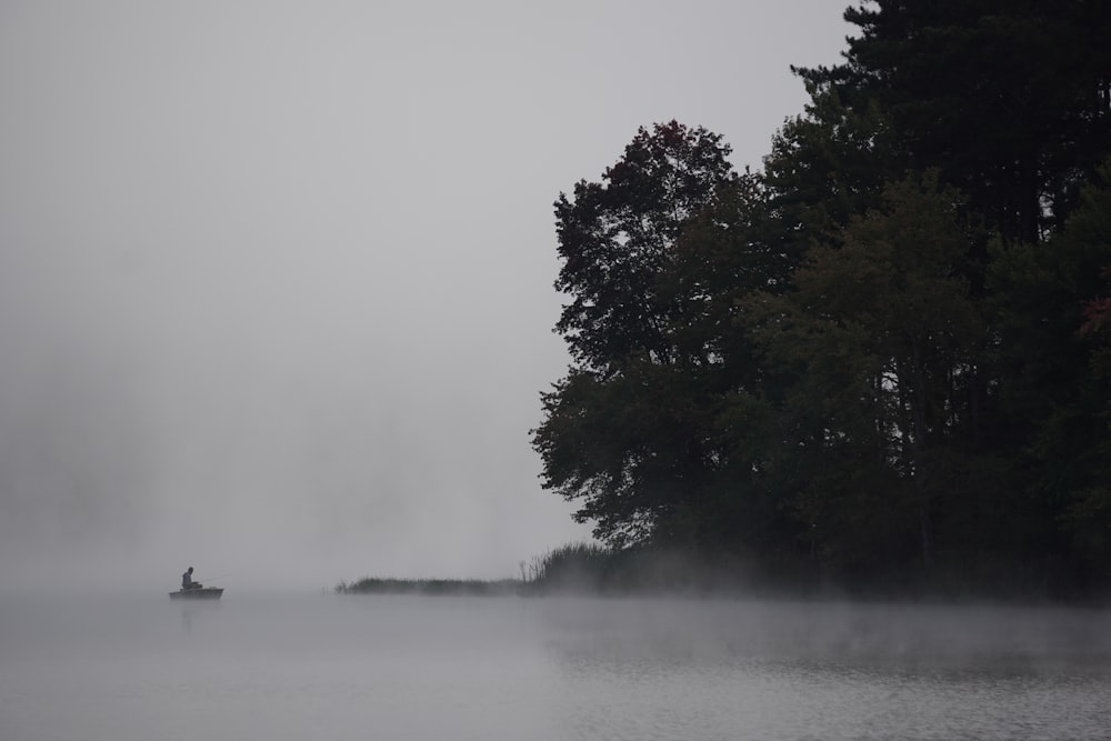 green trees beside body of water during foggy weather