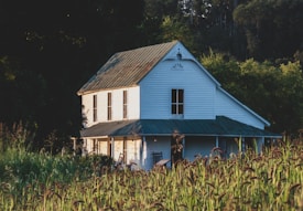 A rustic white farmhouse with a steep, dark green metal roof is nestled among tall grasses and lush greenery. Sunlight gently illuminates the front of the house and a wooden chair on the porch, creating a warm and inviting atmosphere. The house is surrounded by dense trees, with hints of a forest visible in the background.