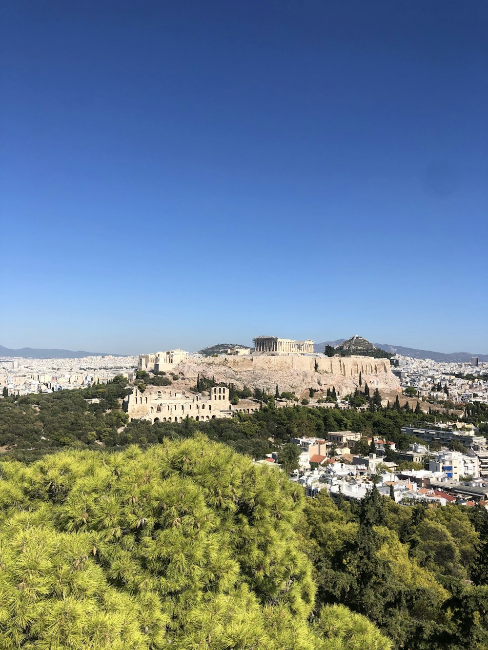 green trees and city buildings under blue sky during daytime