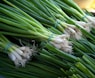 green and white vegetable on brown wooden table