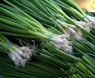 green and white vegetable on brown wooden table