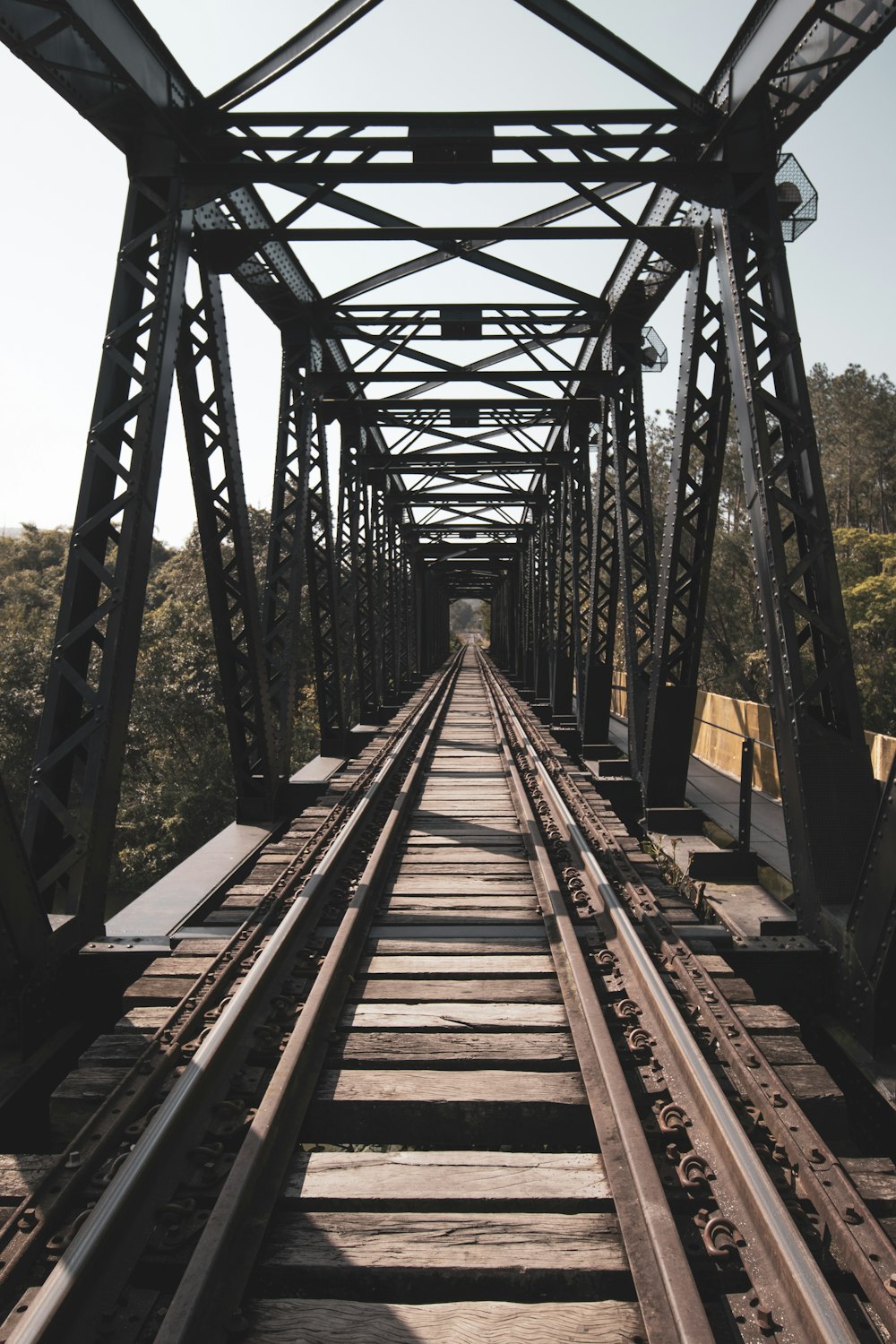 Pont en bois brun dans la forêt pendant la journée