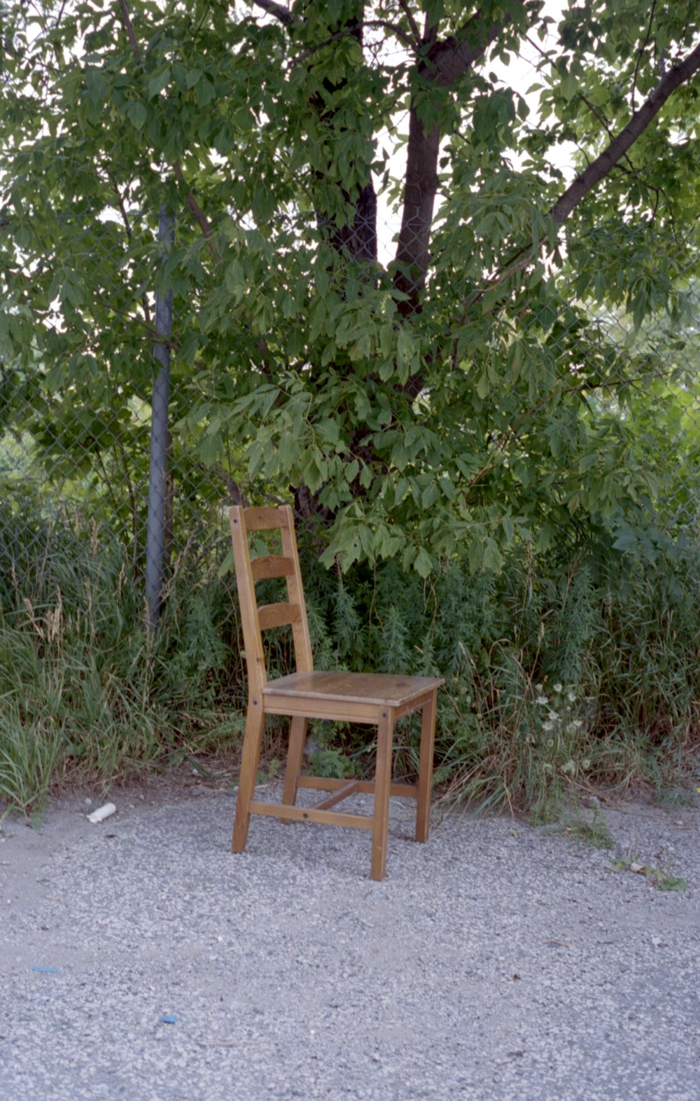 brown wooden armchair under green tree during daytime