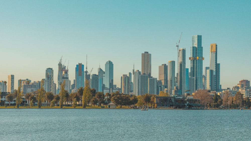 city skyline under blue sky during daytime