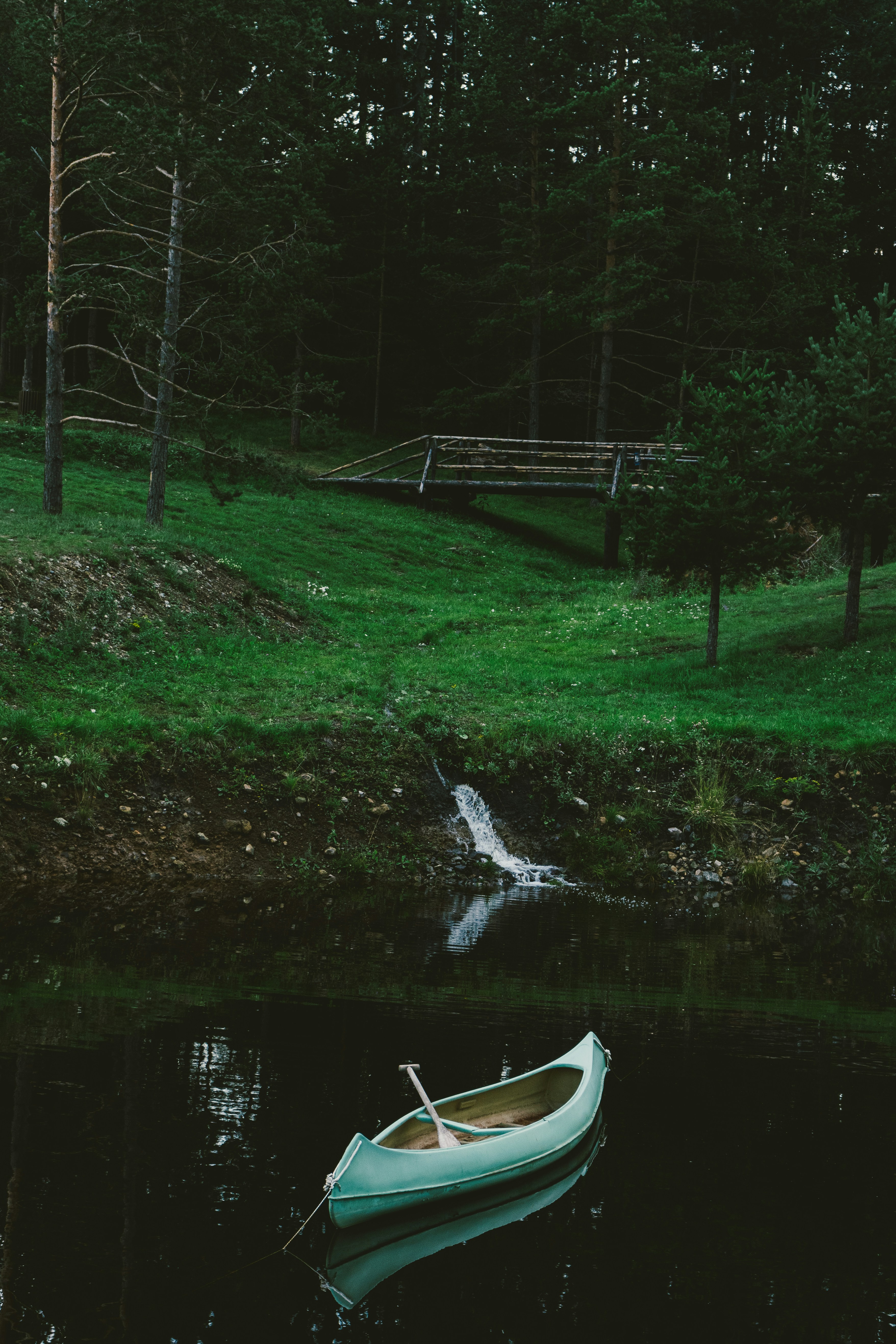 Photo by thestefankostic