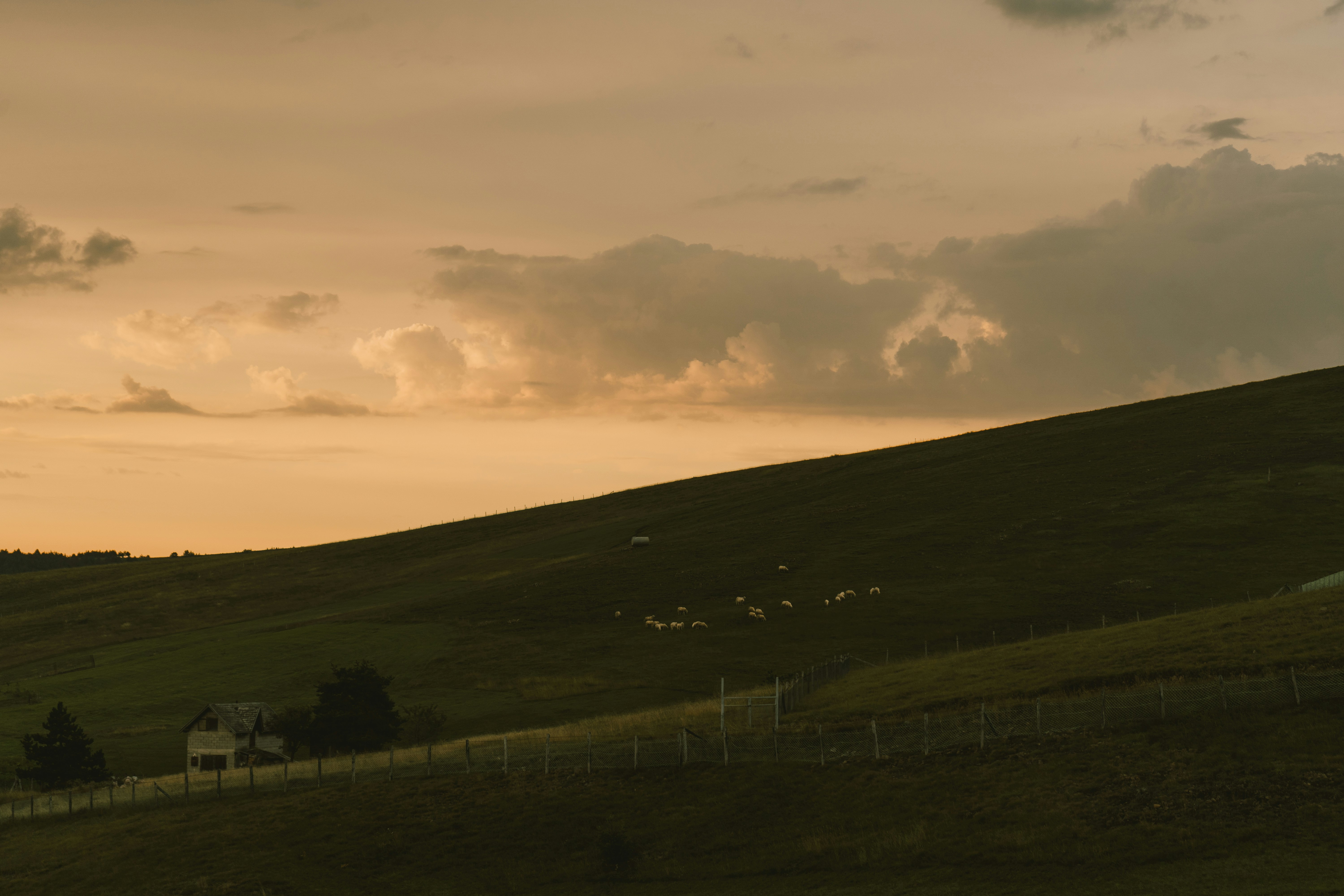 Photo by thestefankostic