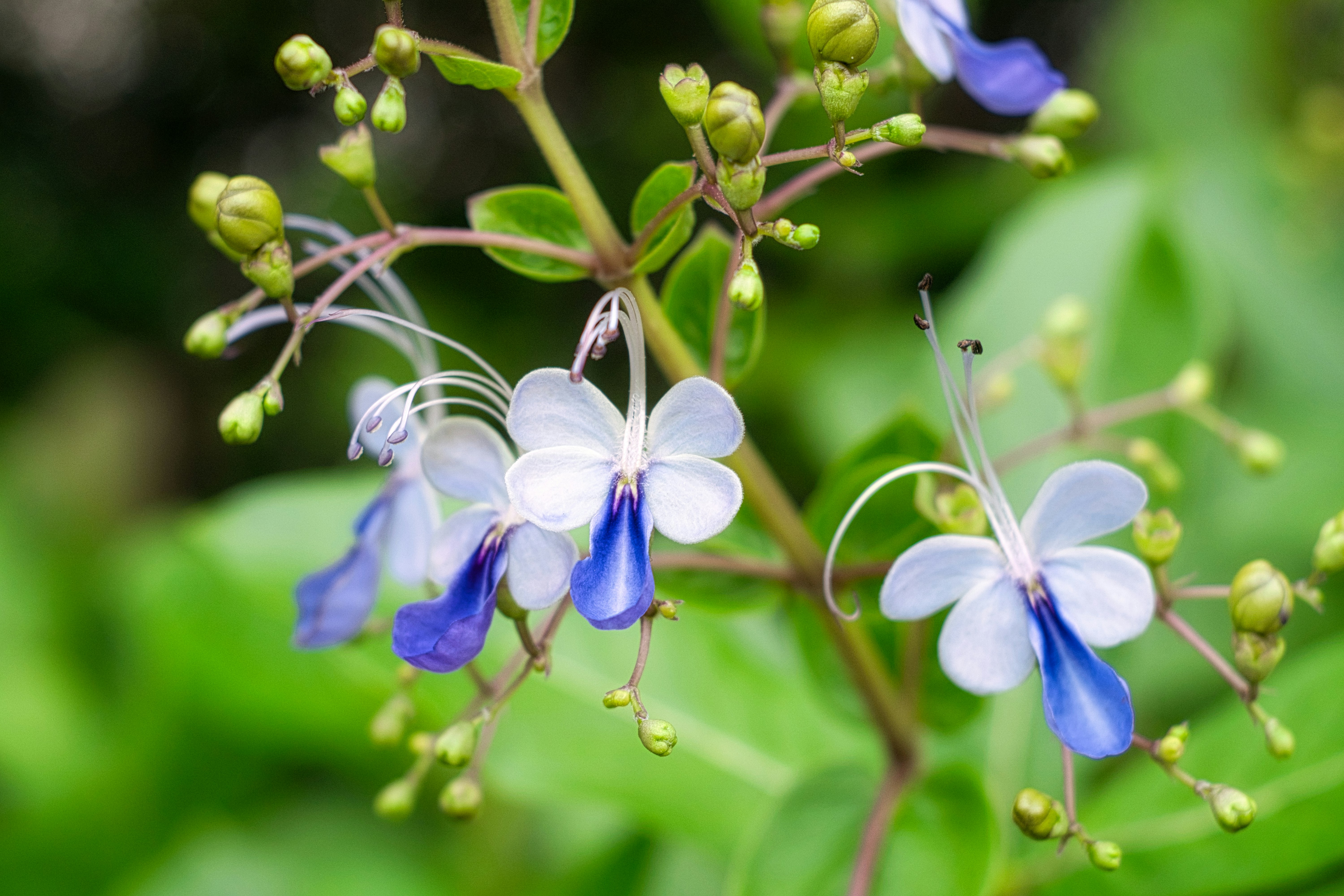 Photo by thomaskinto