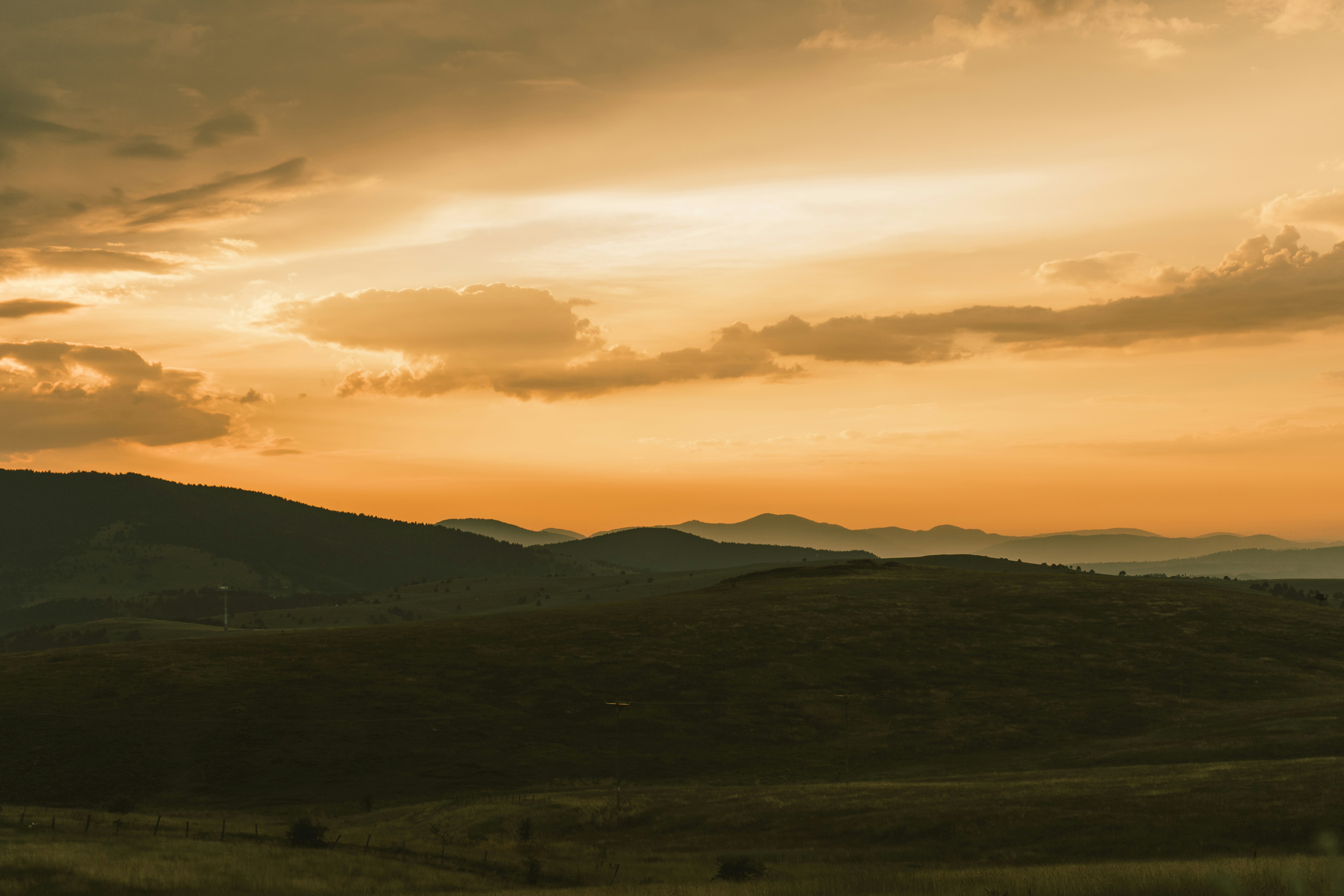 Photo by thestefankostic