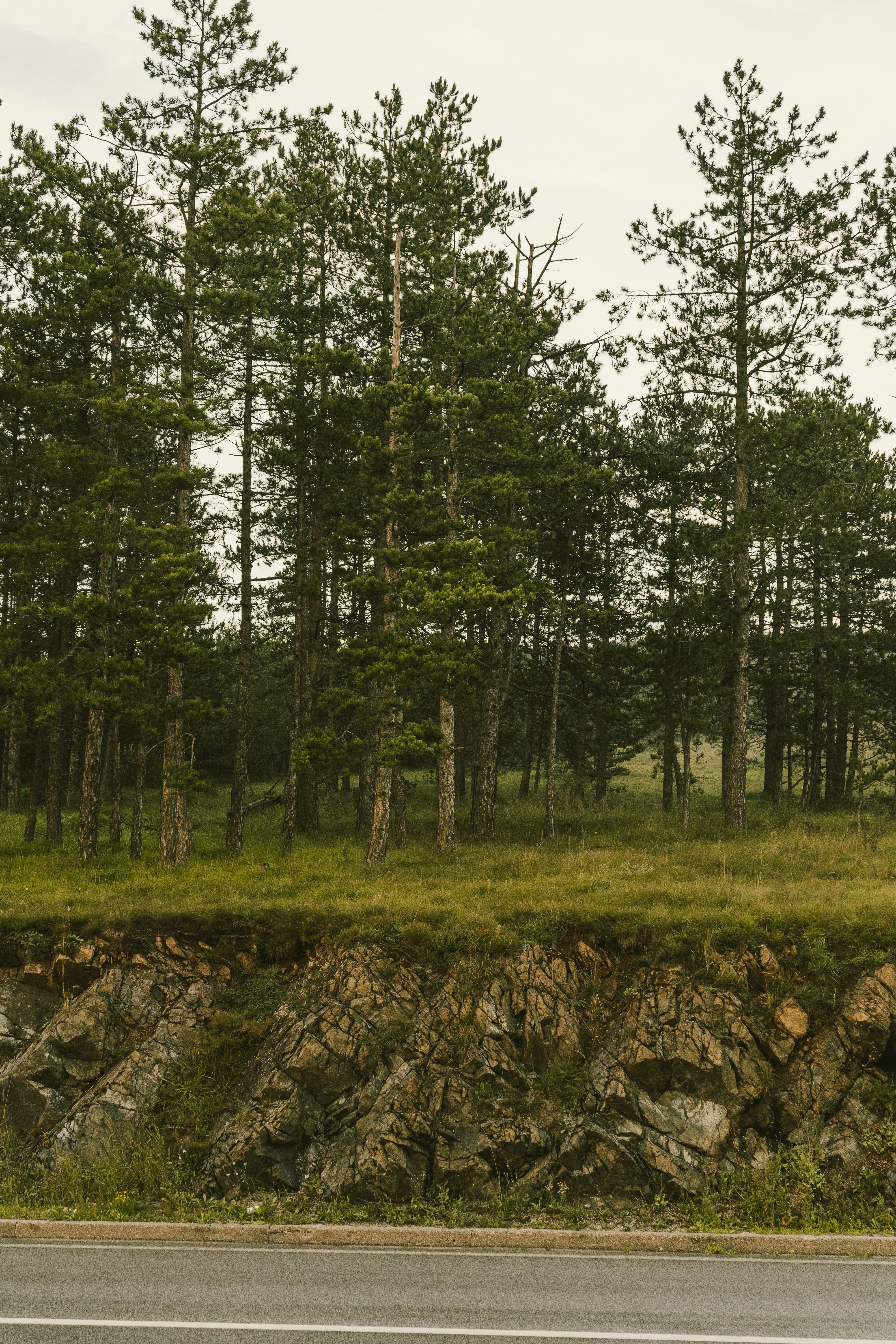 Photo by thestefankostic