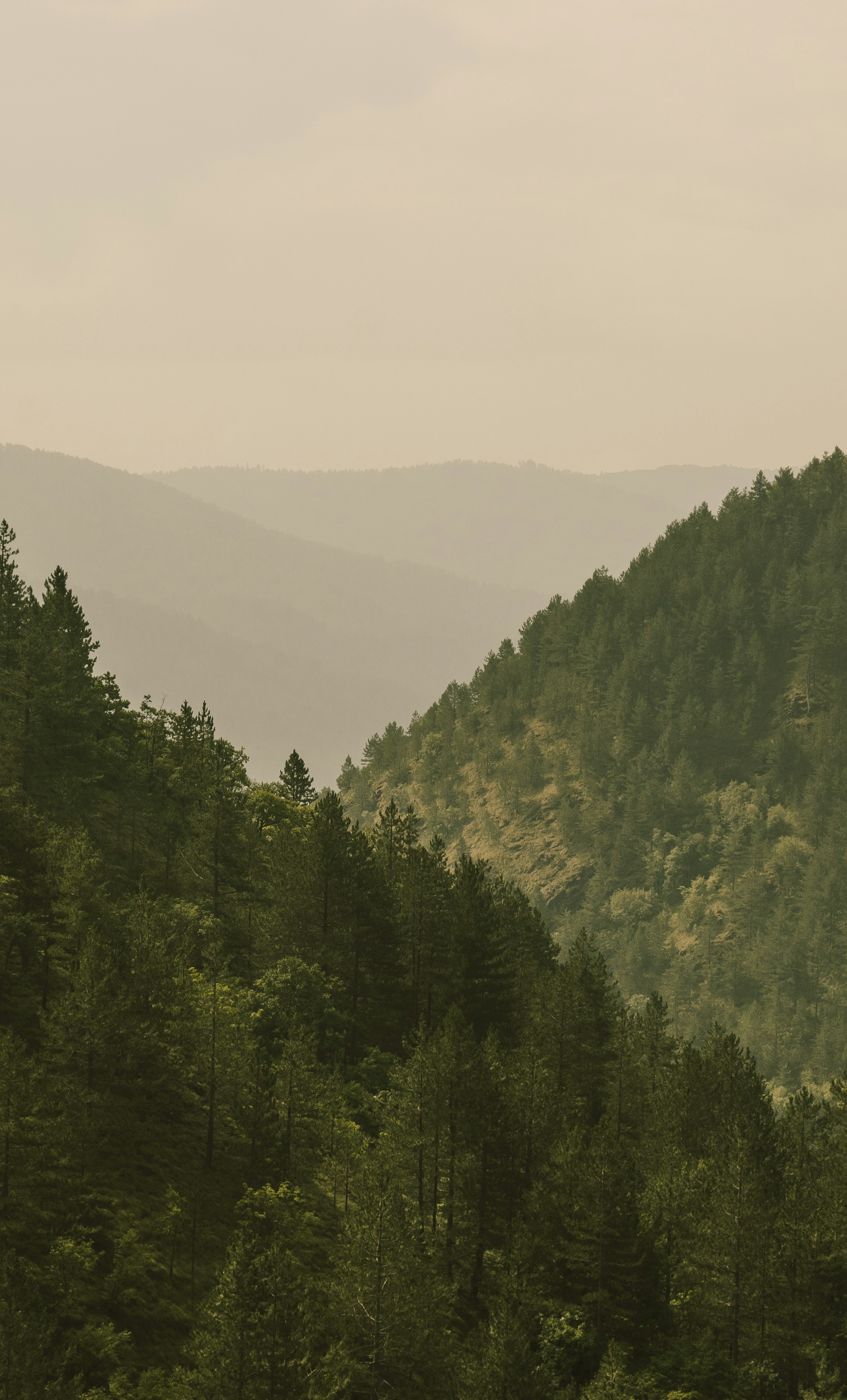 Photo by thestefankostic