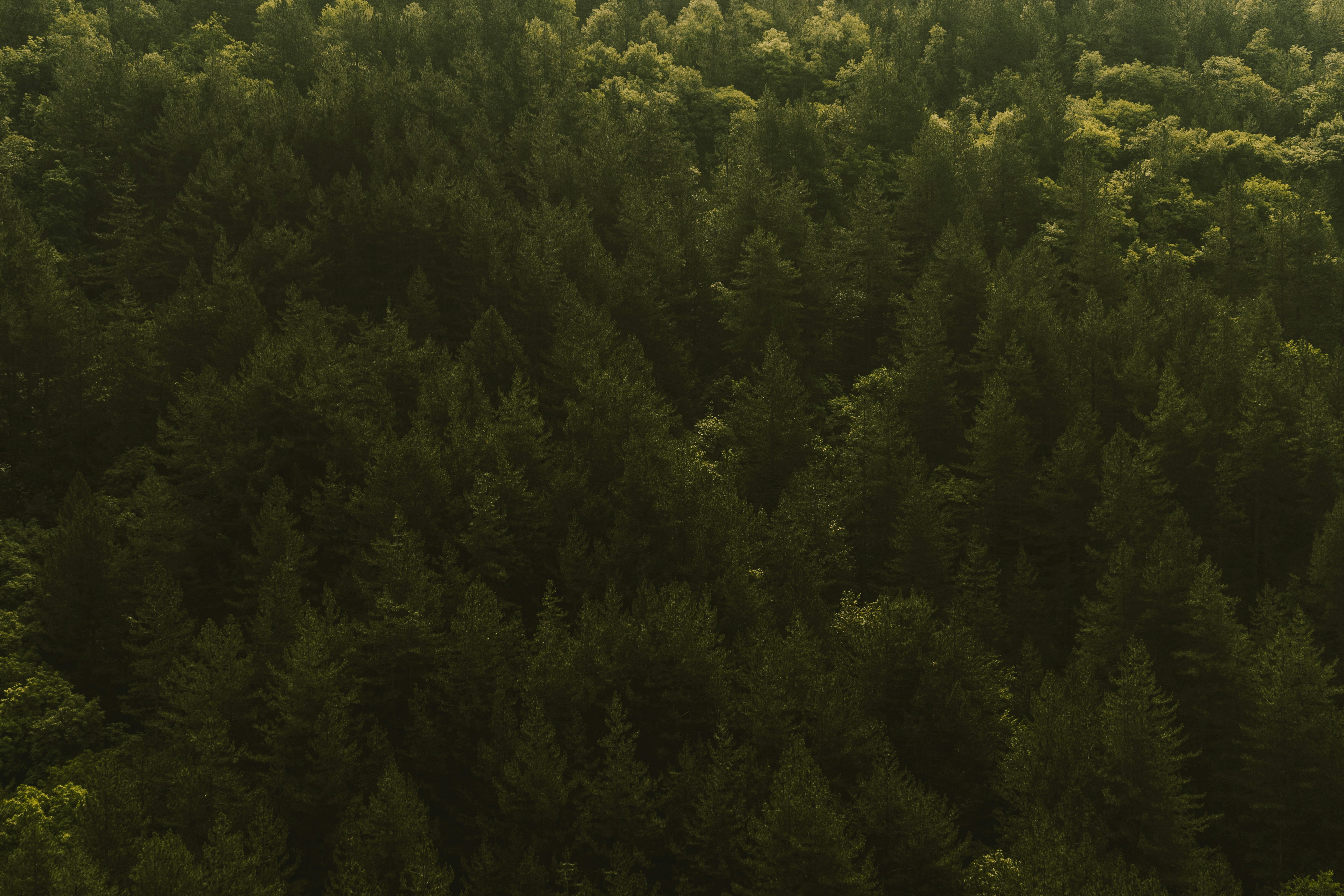 Photo by thestefankostic