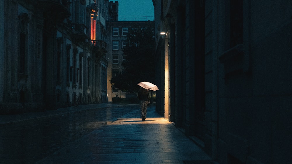 person holding umbrella walking on street during daytime