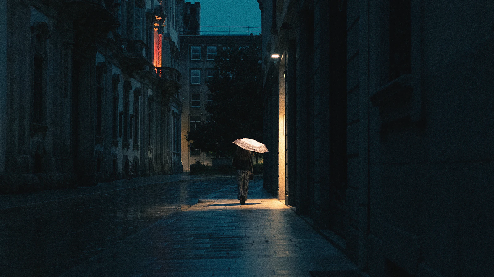 Photo · Ken Anzai / Unsplash
