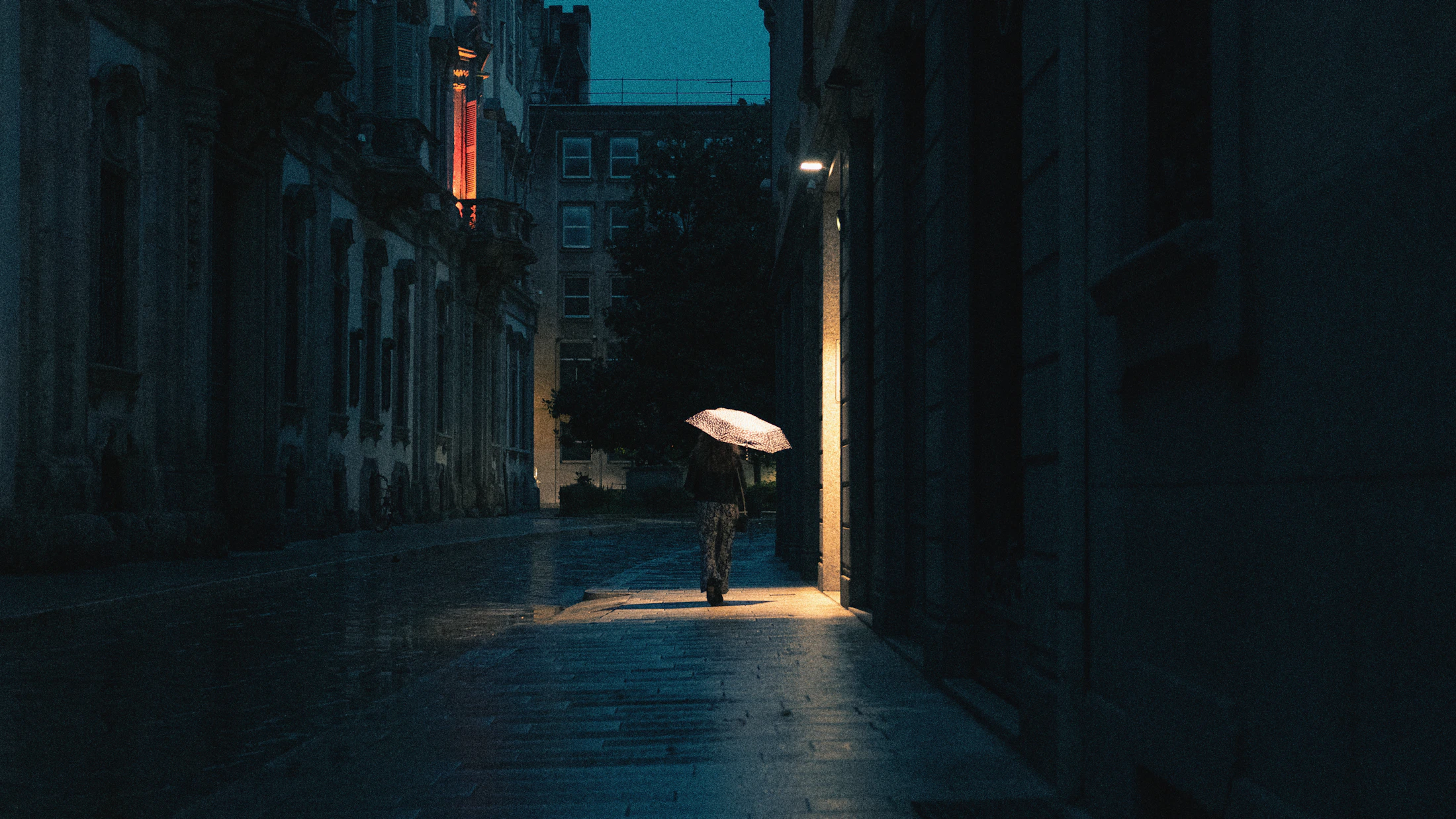 Photo · Ken Anzai / Unsplash