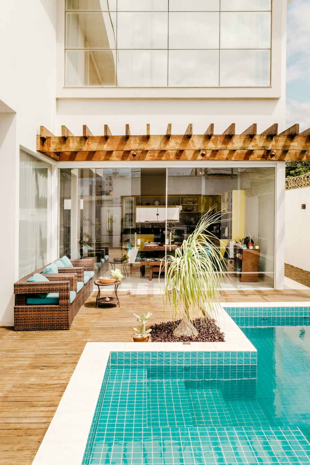 green palm tree near swimming pool