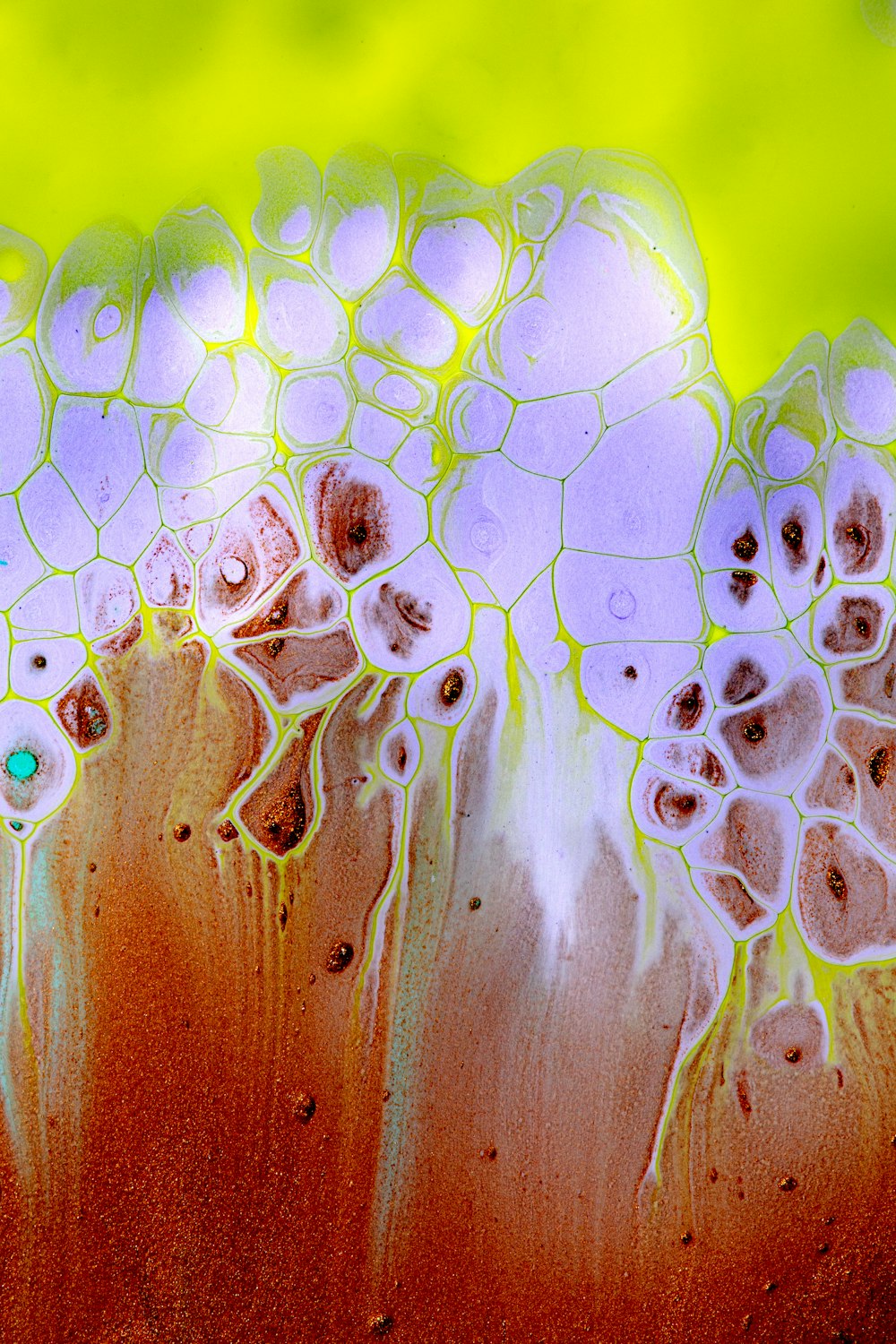 water droplets on brown wooden surface