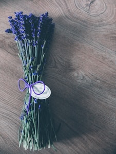 purple and green plant on brown wooden table