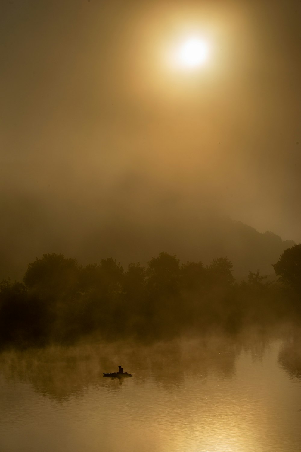 green grass field with fog