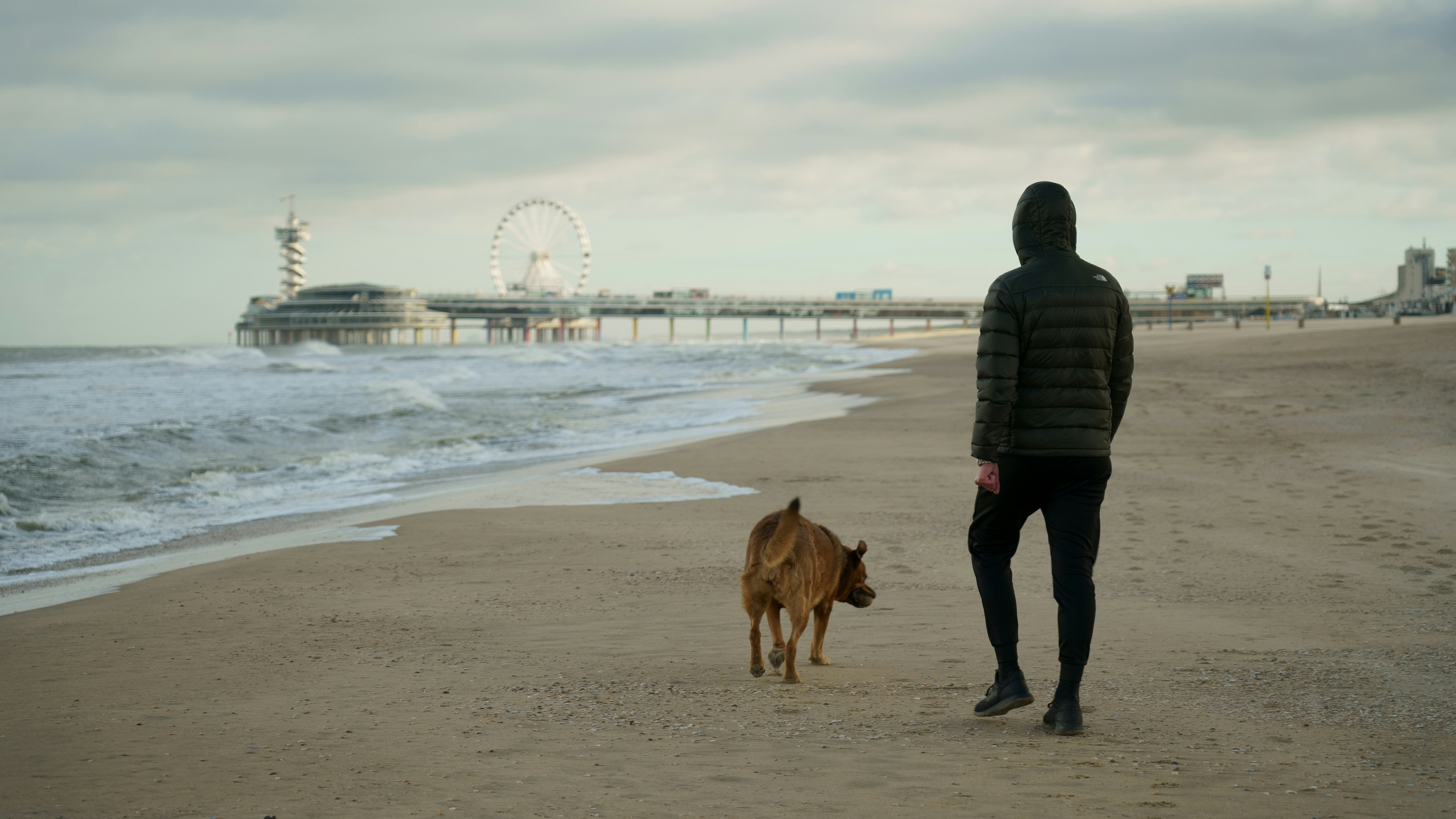 uomo in giacca nera in piedi accanto al cane a pelo corto marrone sulla spiaggia durante il giorno