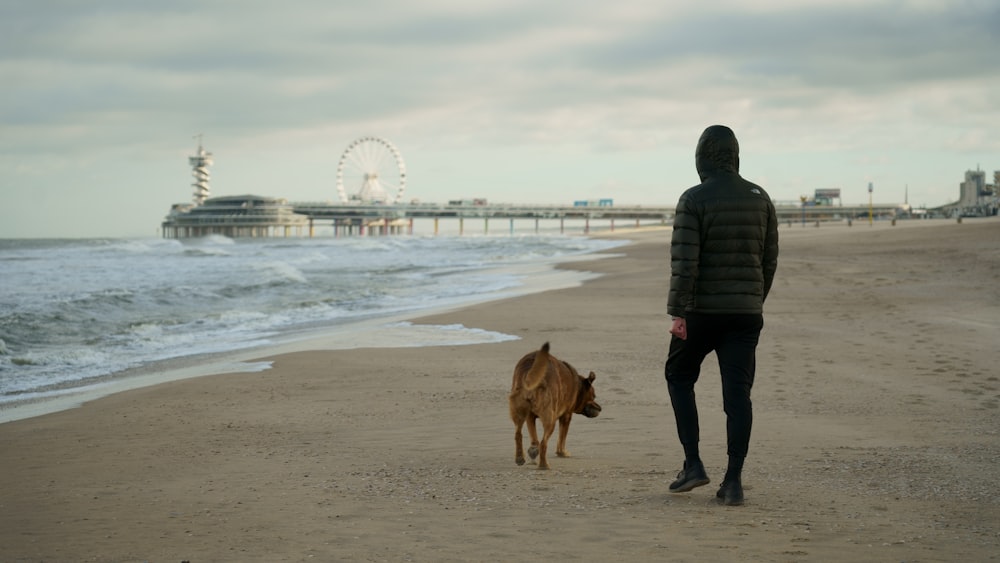 man in black jacket standing beside brown short coated dog on beach during daytime