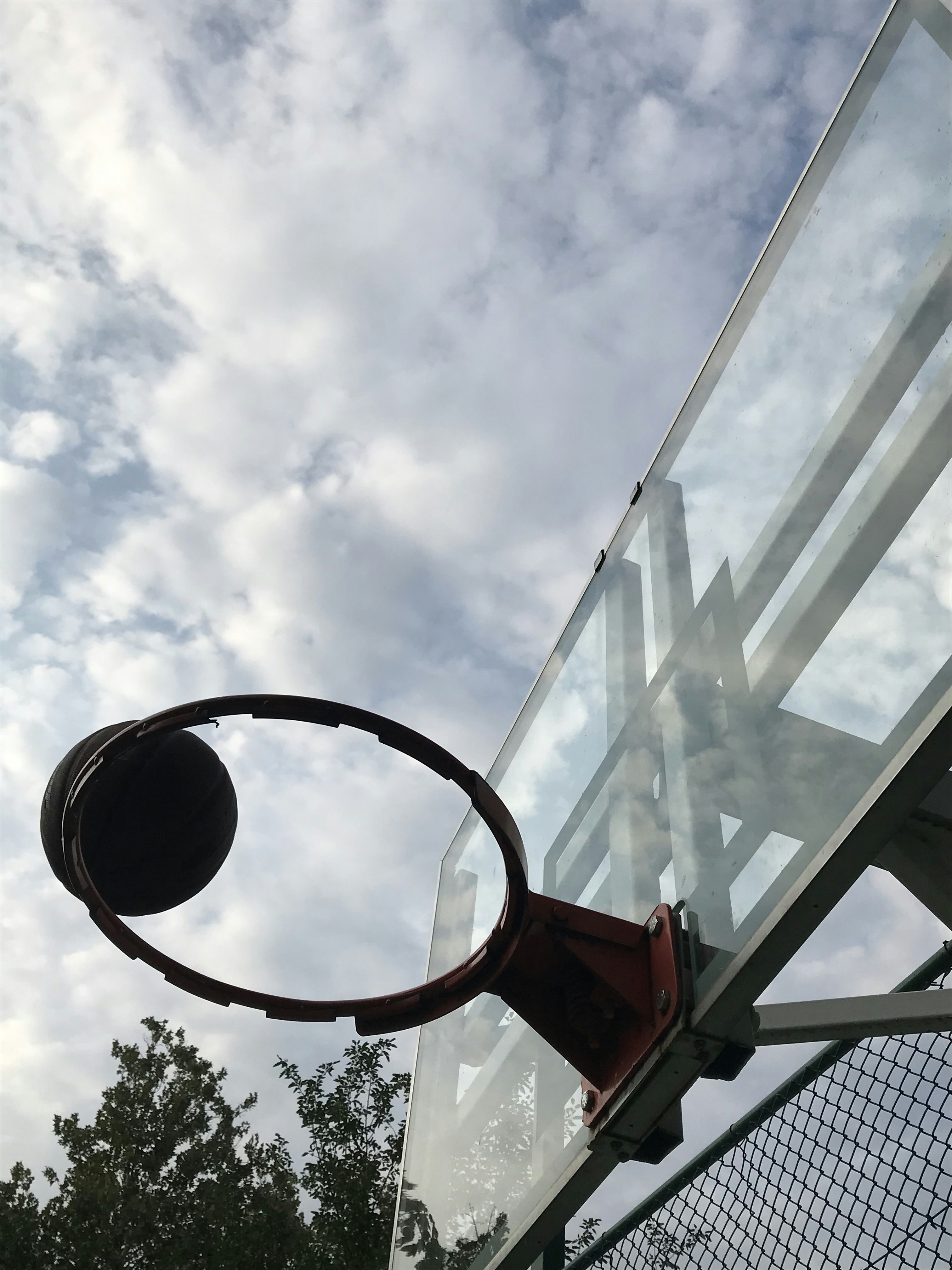 Pro Basketball Hoop