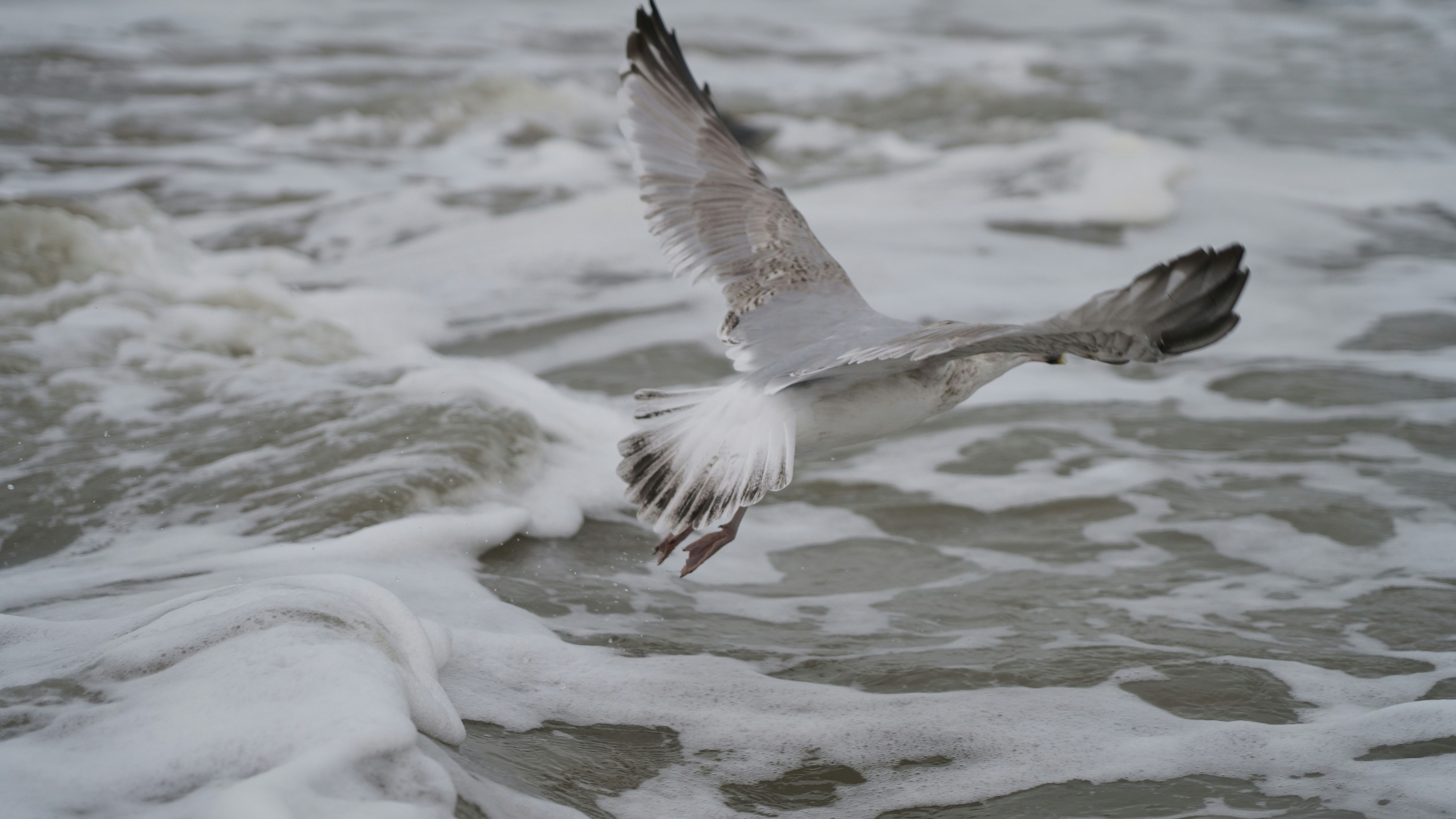 Photo by powderhoneyproductions