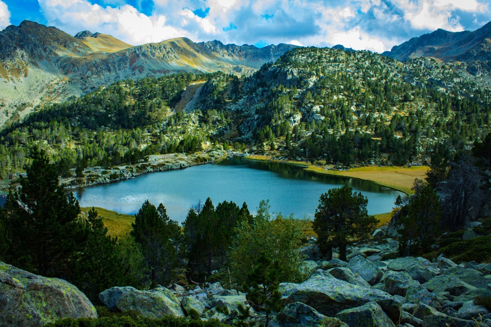 árvores verdes perto do lago sob o céu azul durante o dia