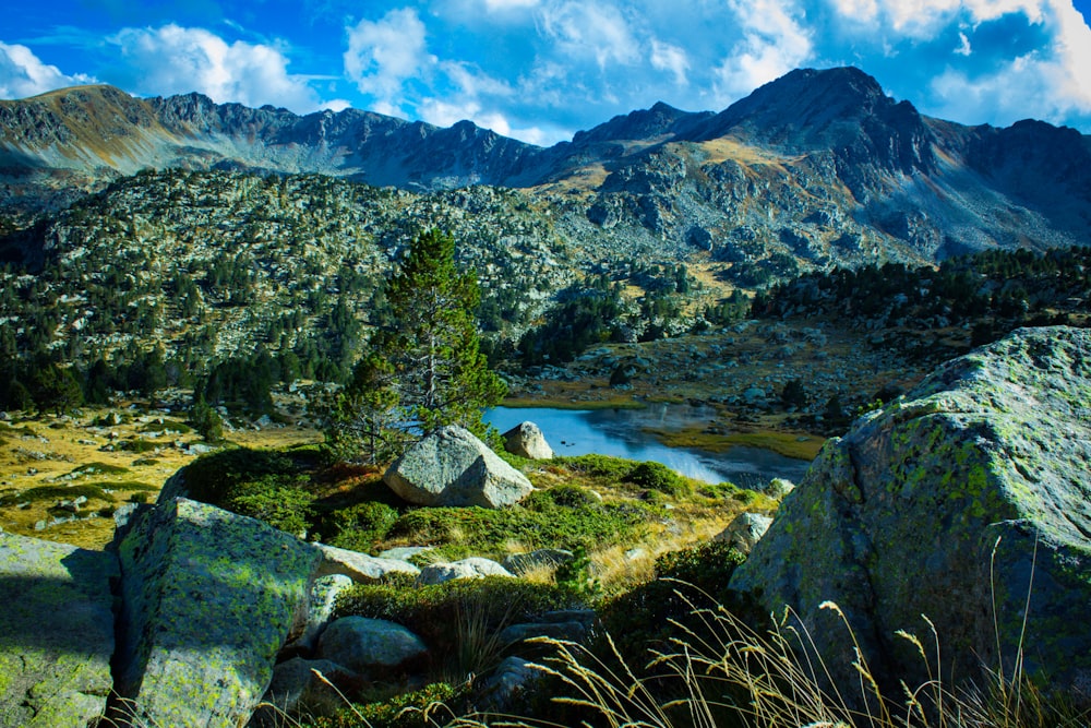 árvores verdes perto do lago e da montanha durante o dia