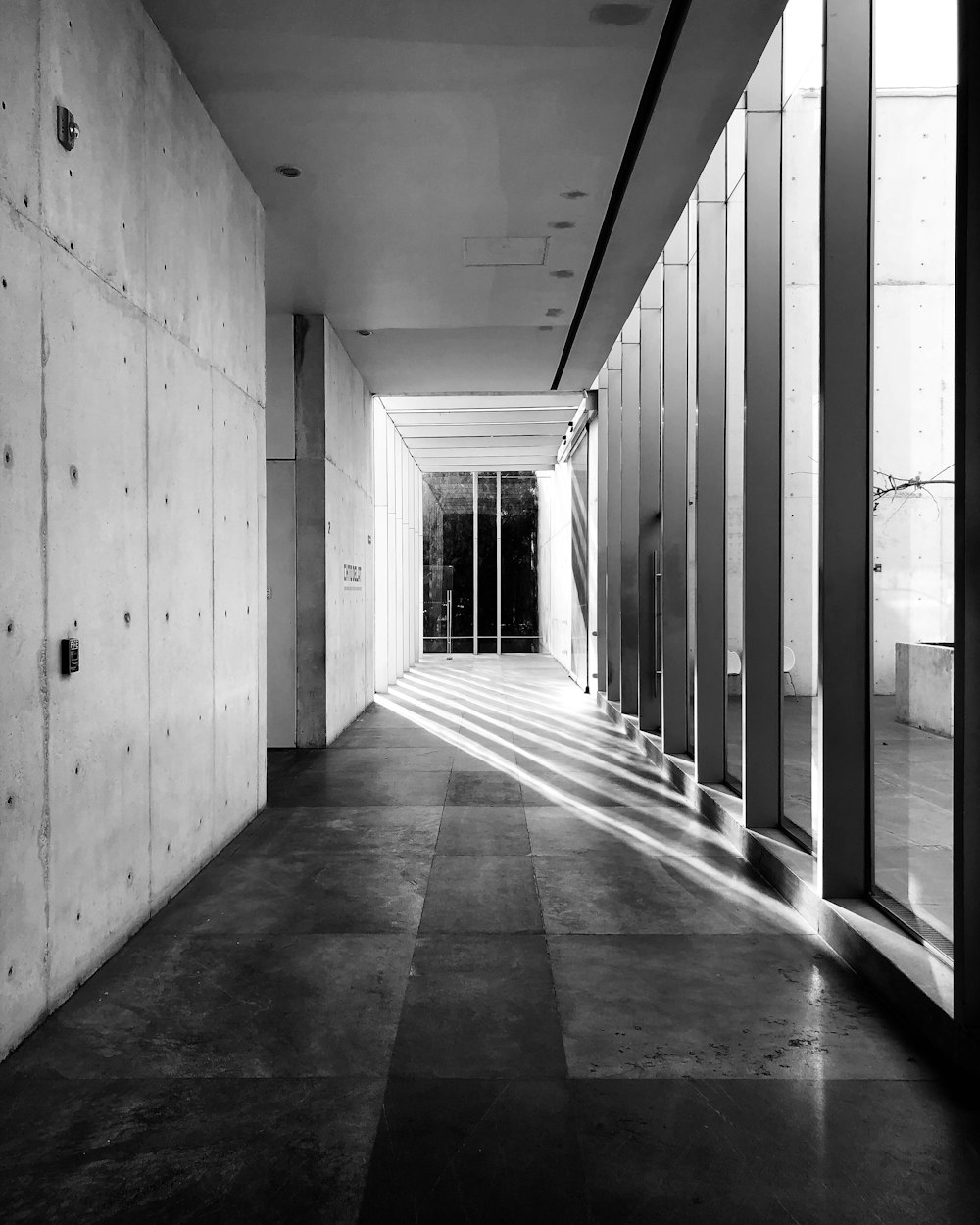 grayscale photo of hallway with glass windows