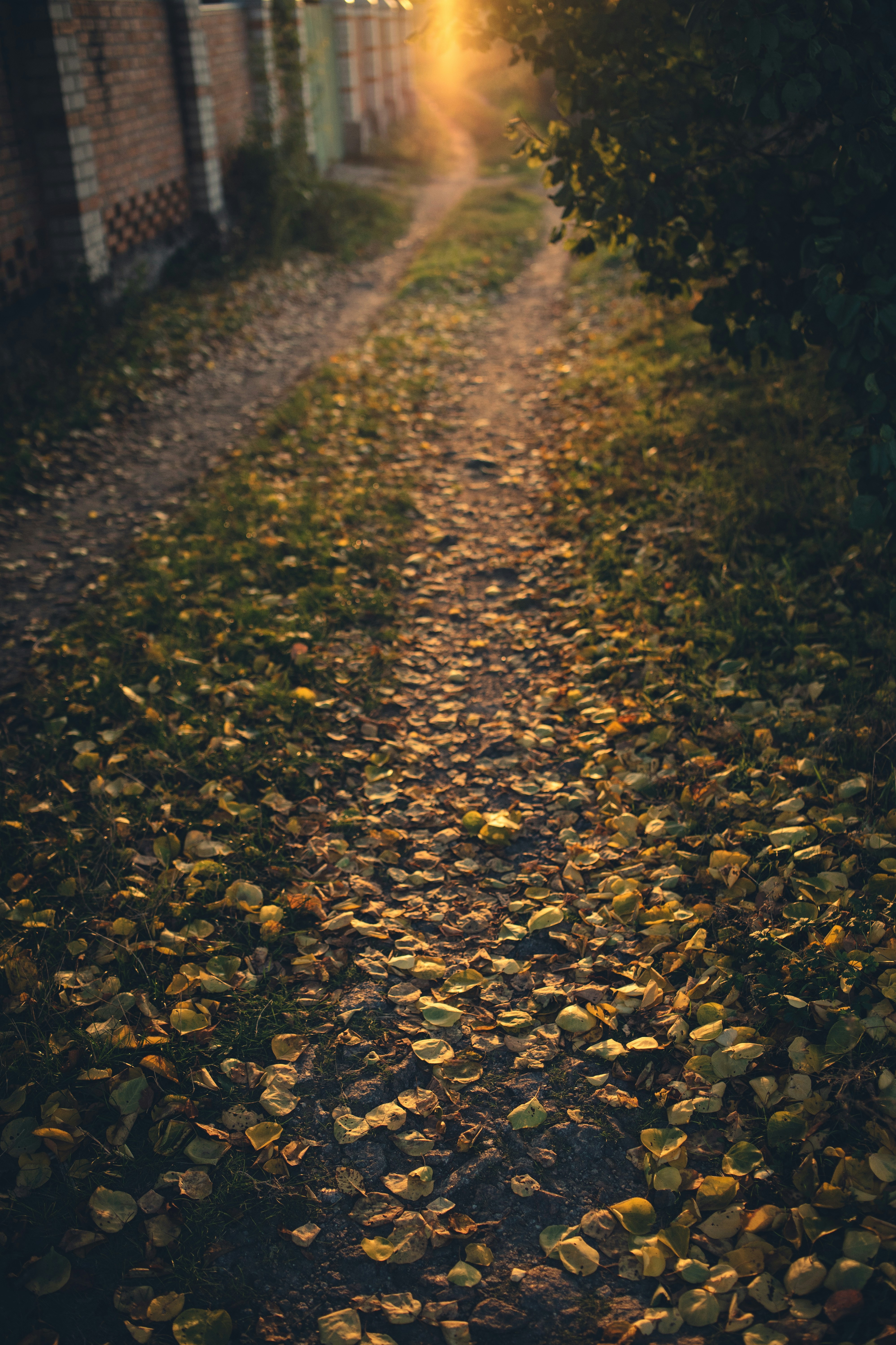 Photo by onmywayhome