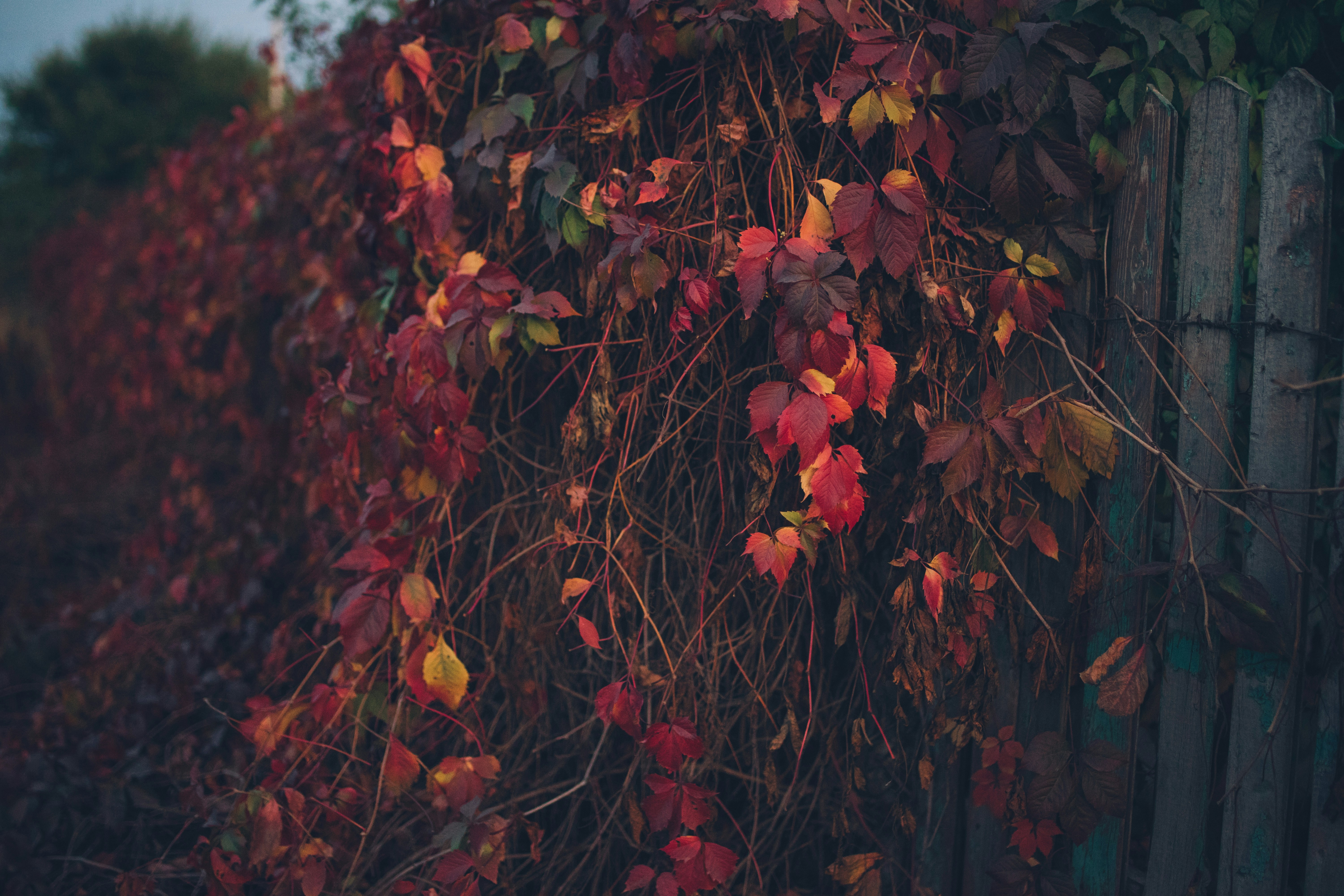 Photo by onmywayhome