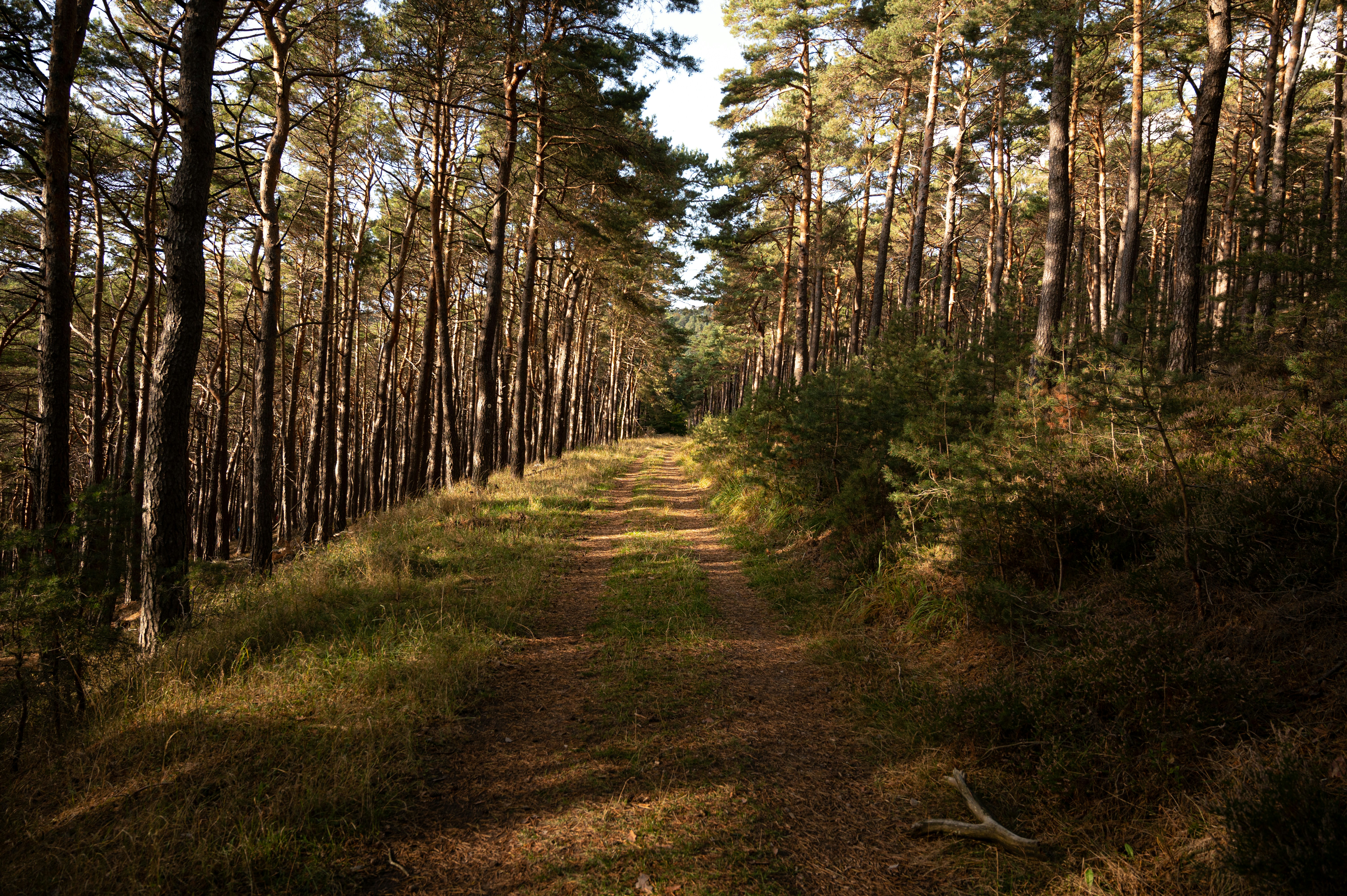 Photo by babettelandmesser