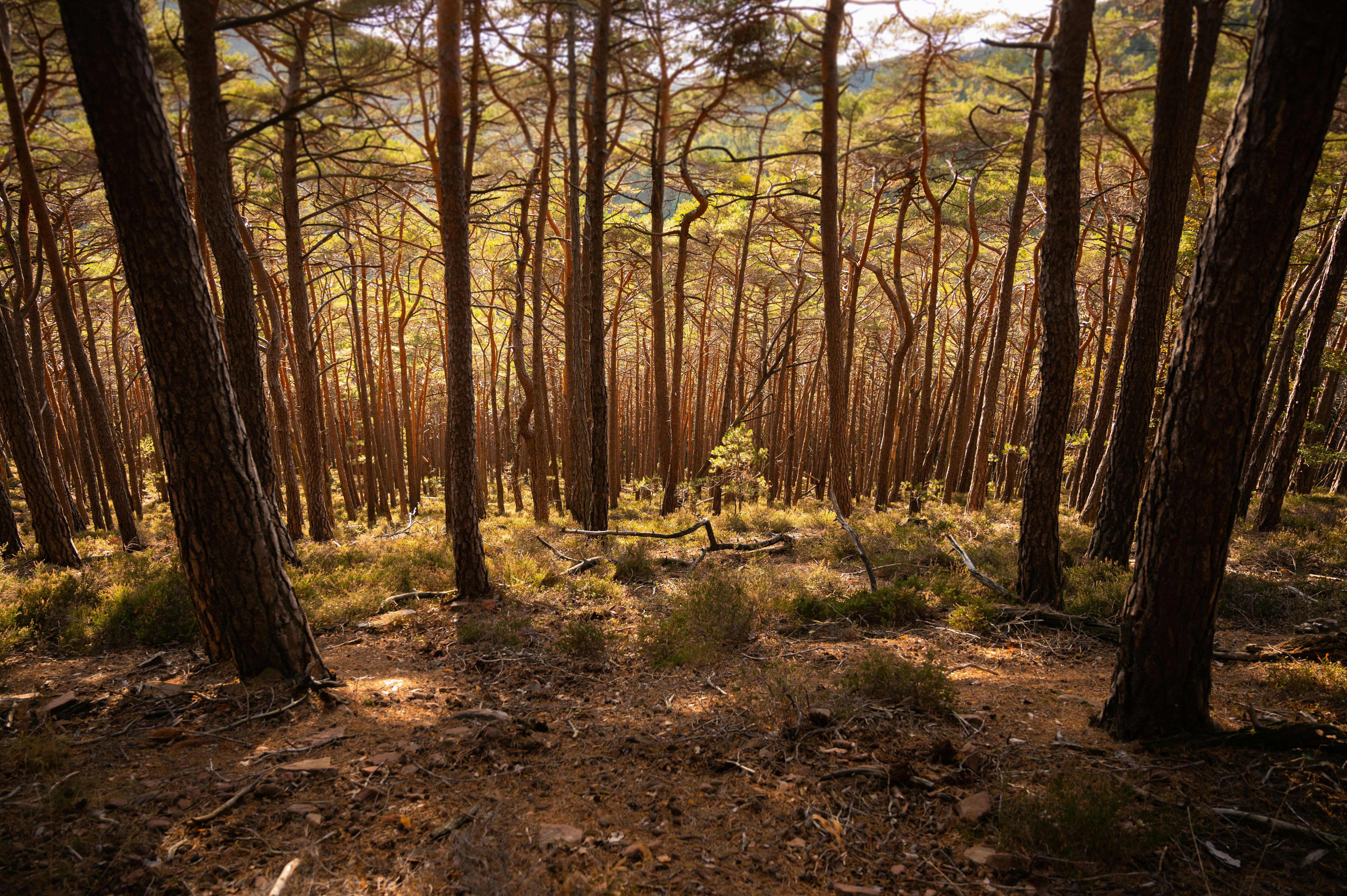 Photo by babettelandmesser