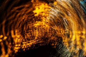 brown and black fur textile