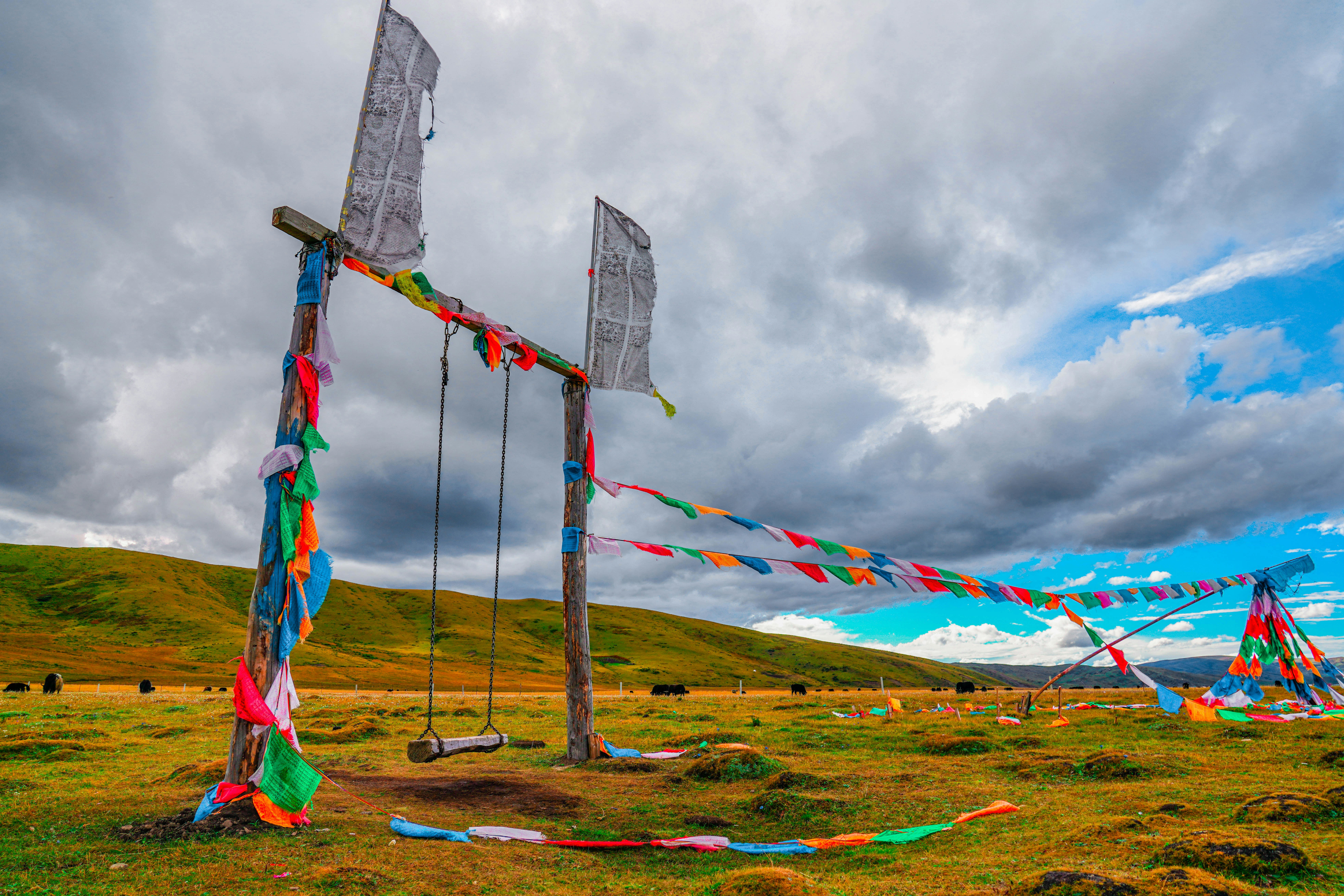 multi colored striped flags on green grass field under cloudy s…
