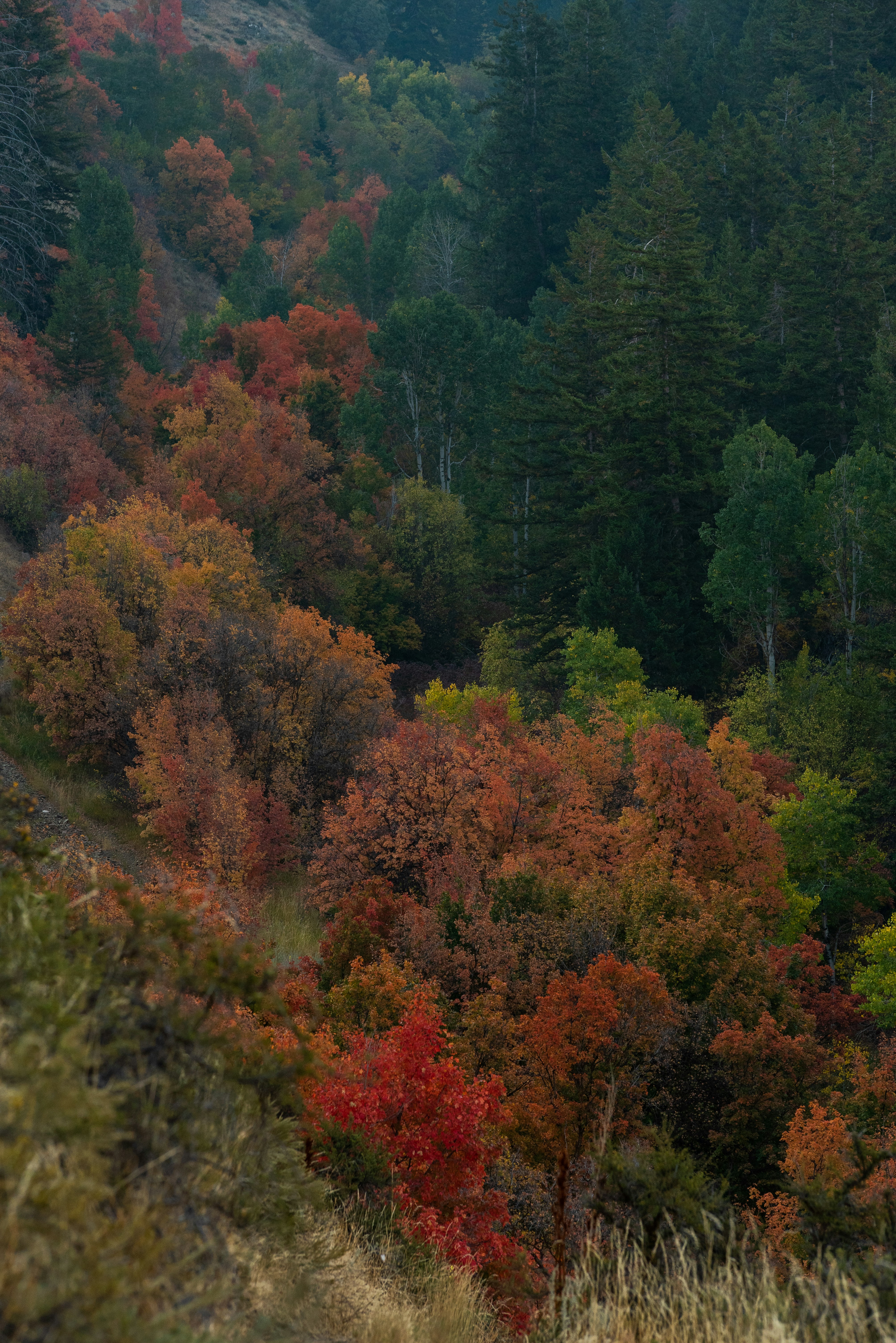 Photo by lightrisephoto