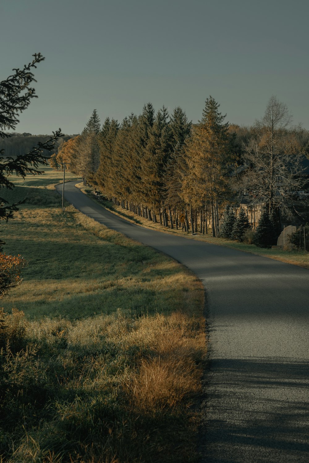 gray asphalt road between green grass field and trees during daytime