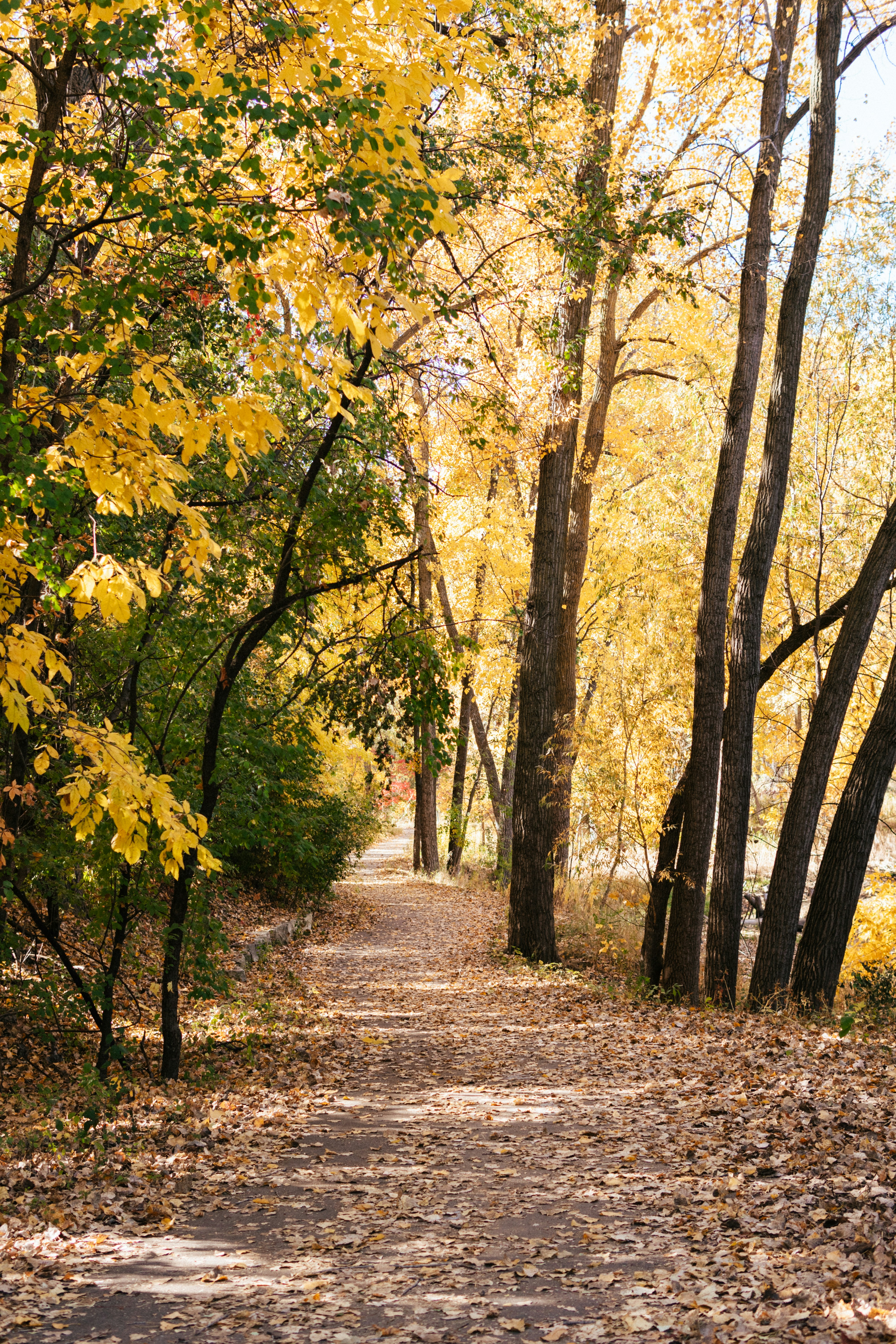 Photo by brandoncormier