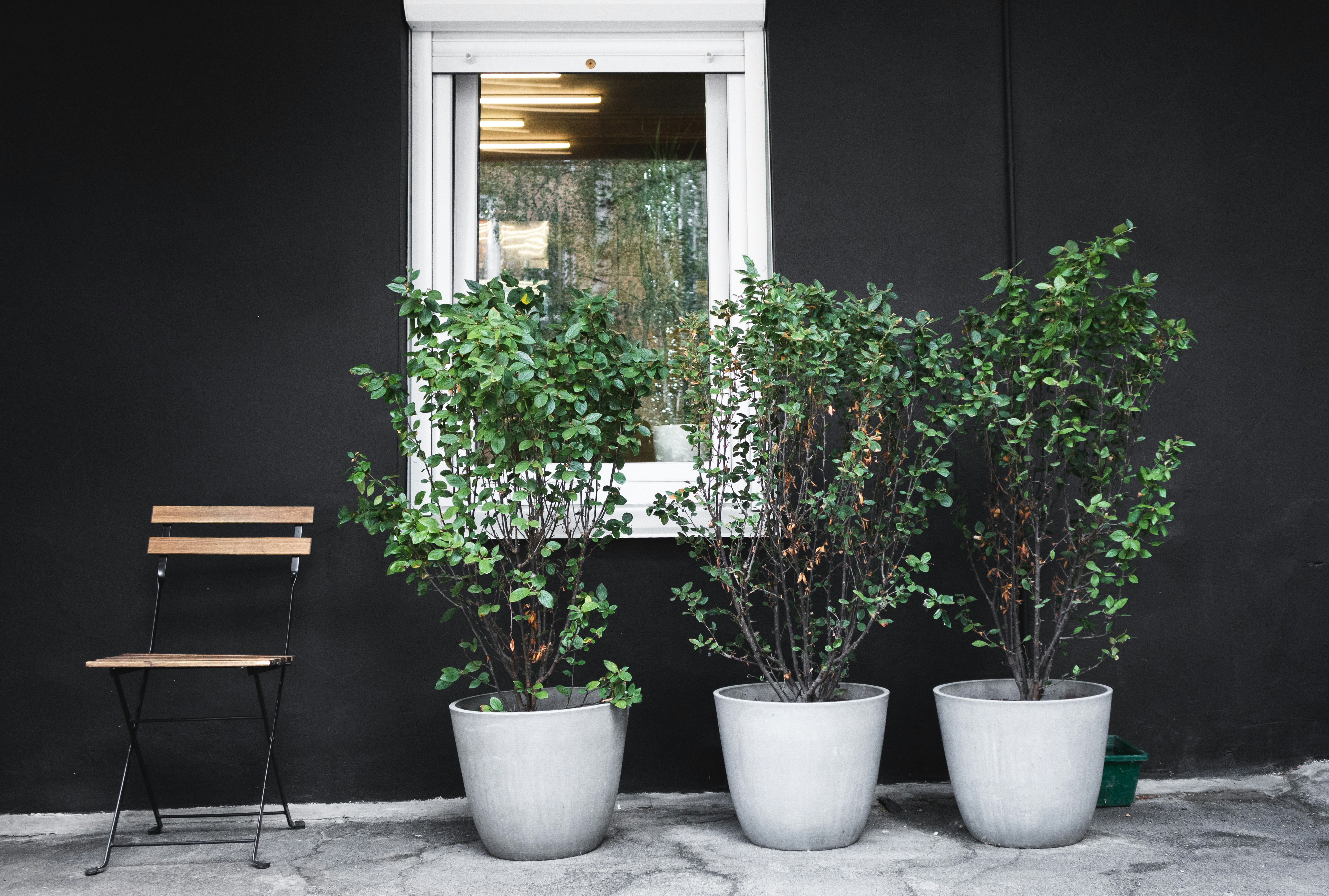 Photo by maksym_tymchyk