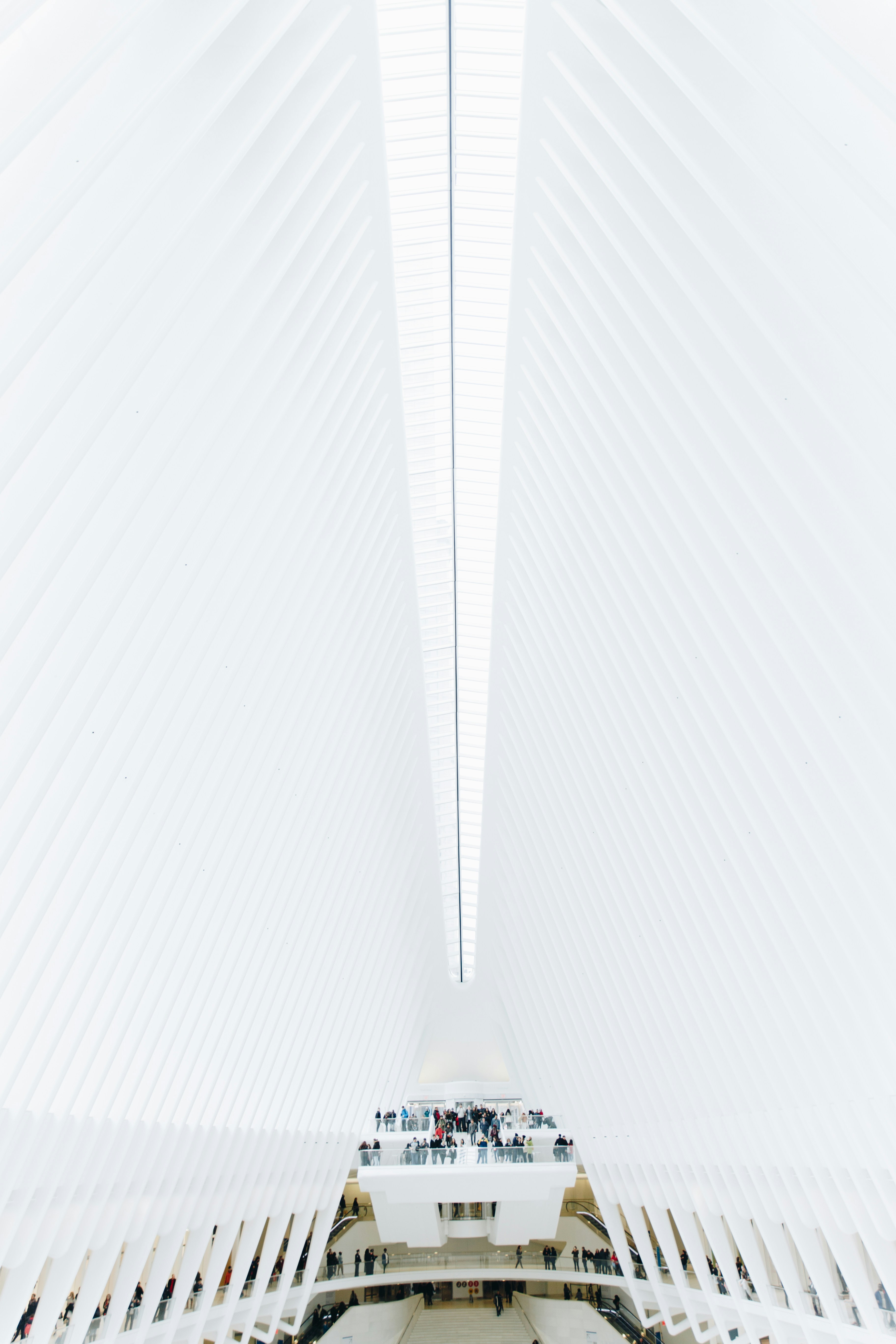 Photo by christian_garcia