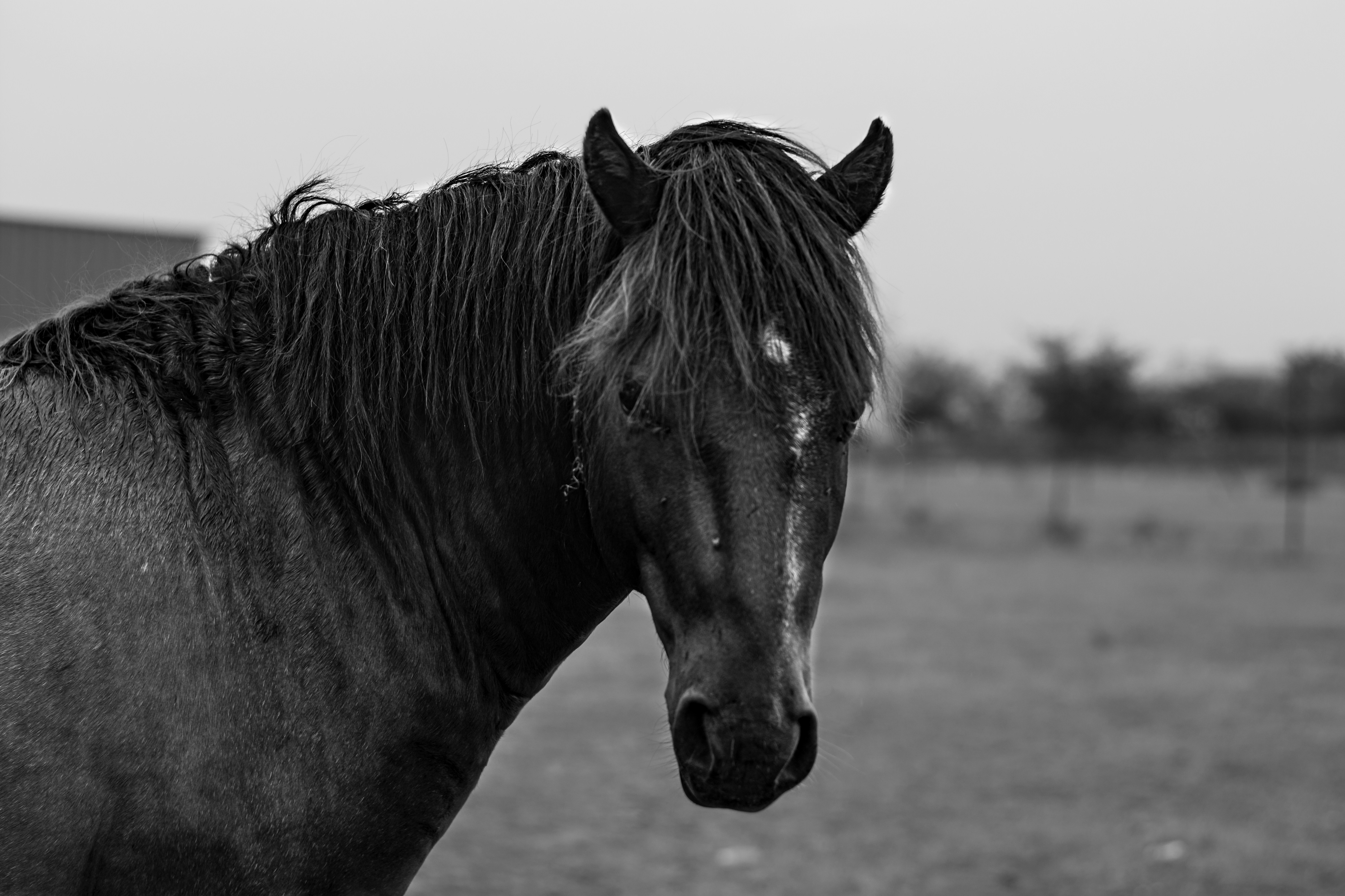 Photo by darshan_gavali