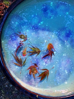 An artistic composition features a bowl filled with water, floating autumn leaves, and a background of shimmering stars, creating an ethereal and dreamy atmosphere.