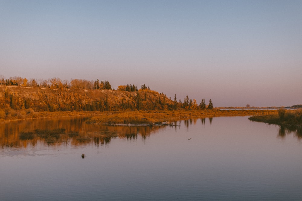 brown trees beside lake under gray sky