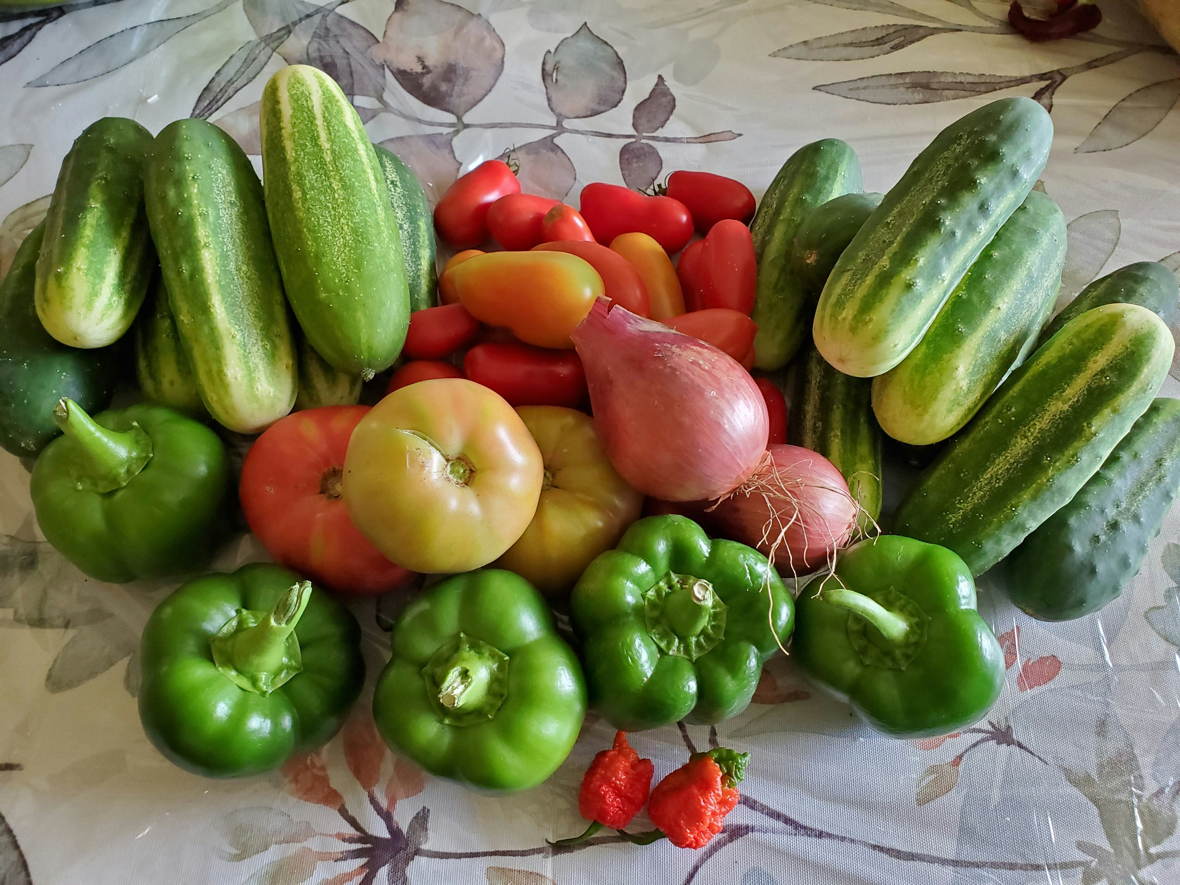 Fresh Organic Vegetables