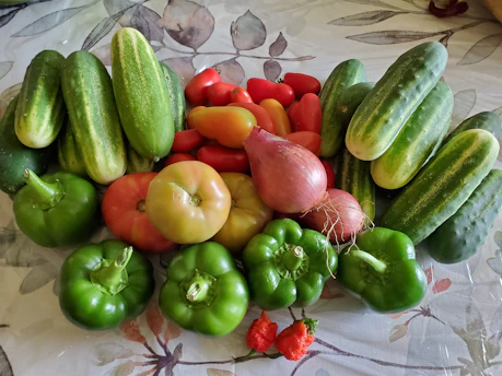 Vibrant assortment of colorful vegetables including tomatoes, peppers, and cucumbers