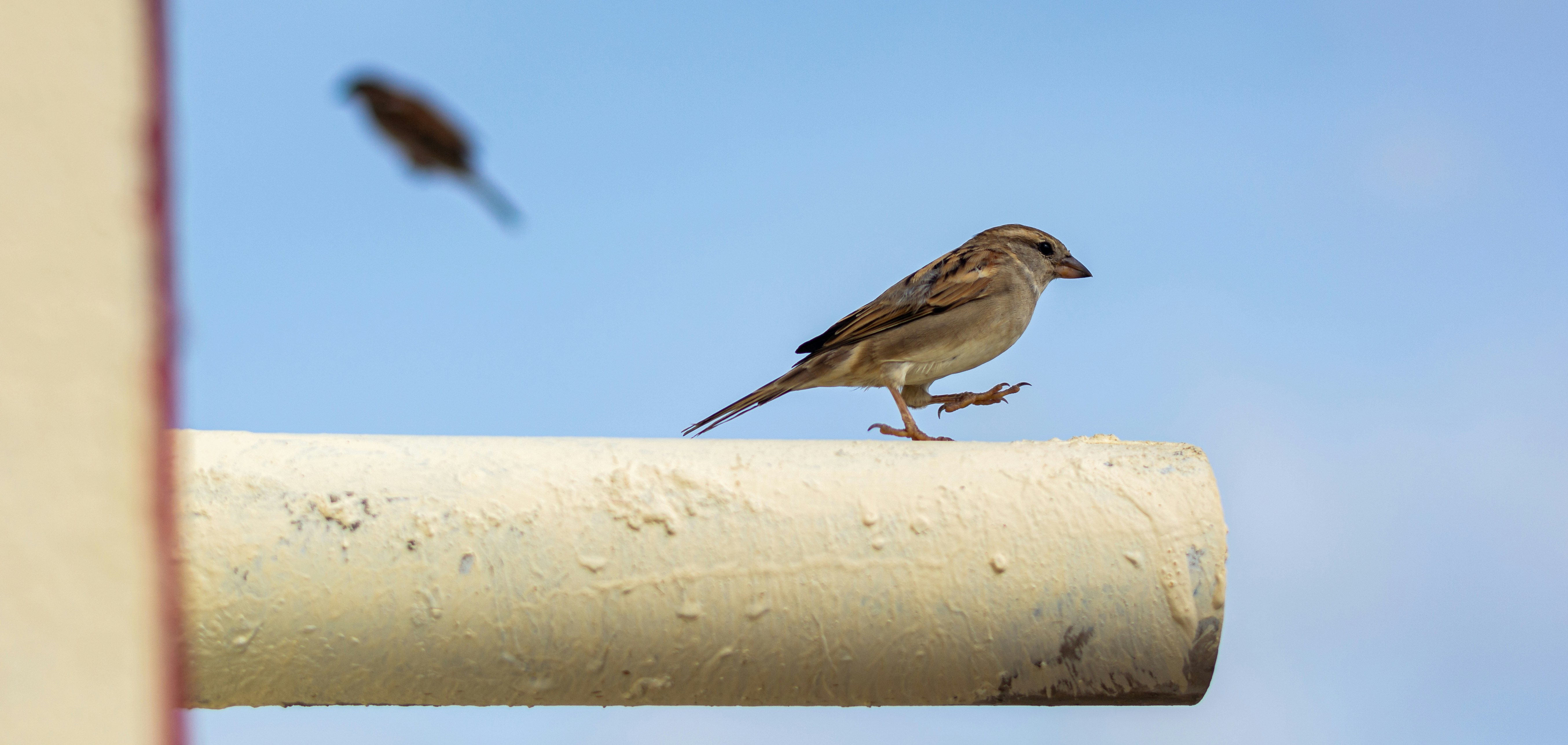 Photo by darshan_gavali