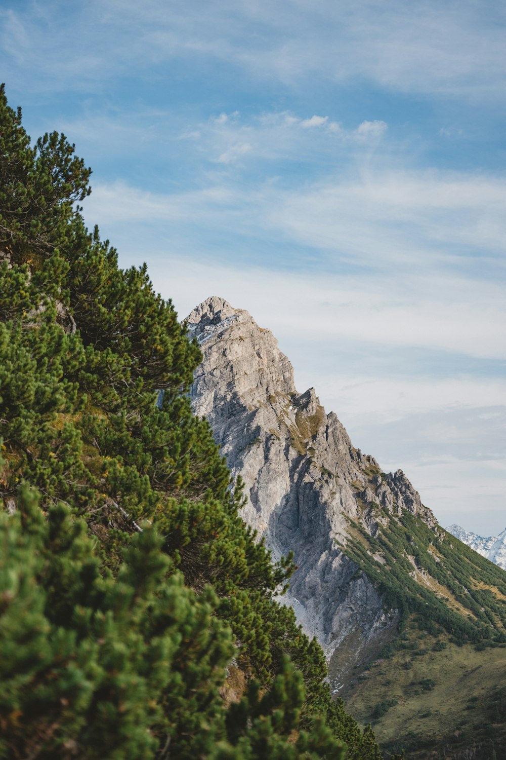 green trees on rocky mountain under blue sky during daytime