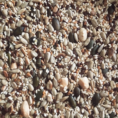 A close-up view of a diverse assortment of seeds, including pumpkin seeds, sunflower seeds, sesame seeds, and others. The seeds vary in size, shape, and color, creating a textured and earthy composition.